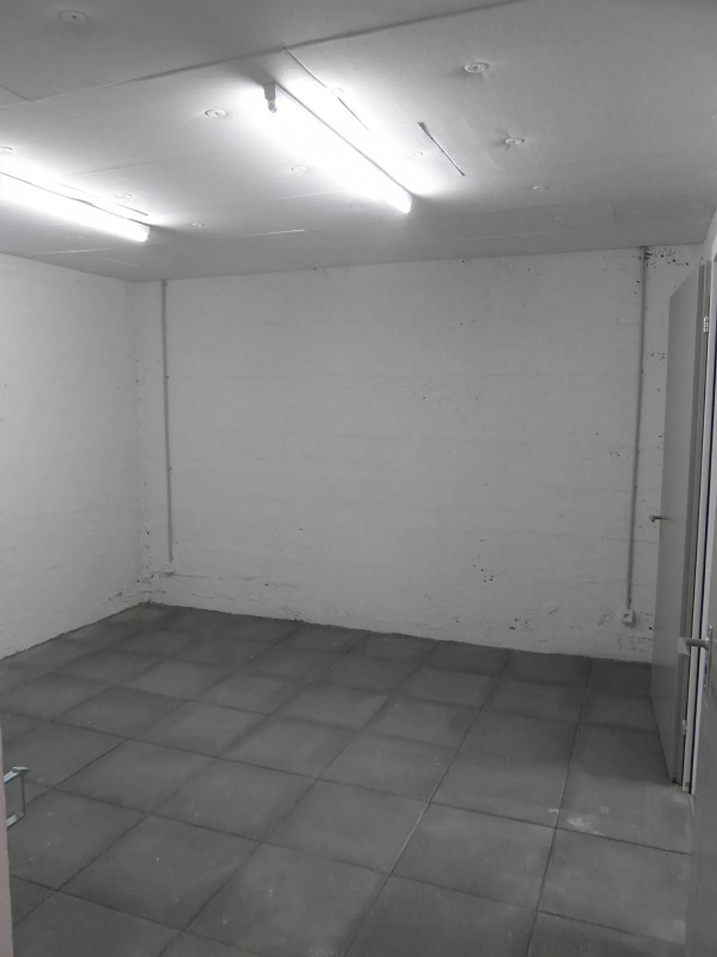 Magazzino in affitto in Lorena - Foto 4 di 9