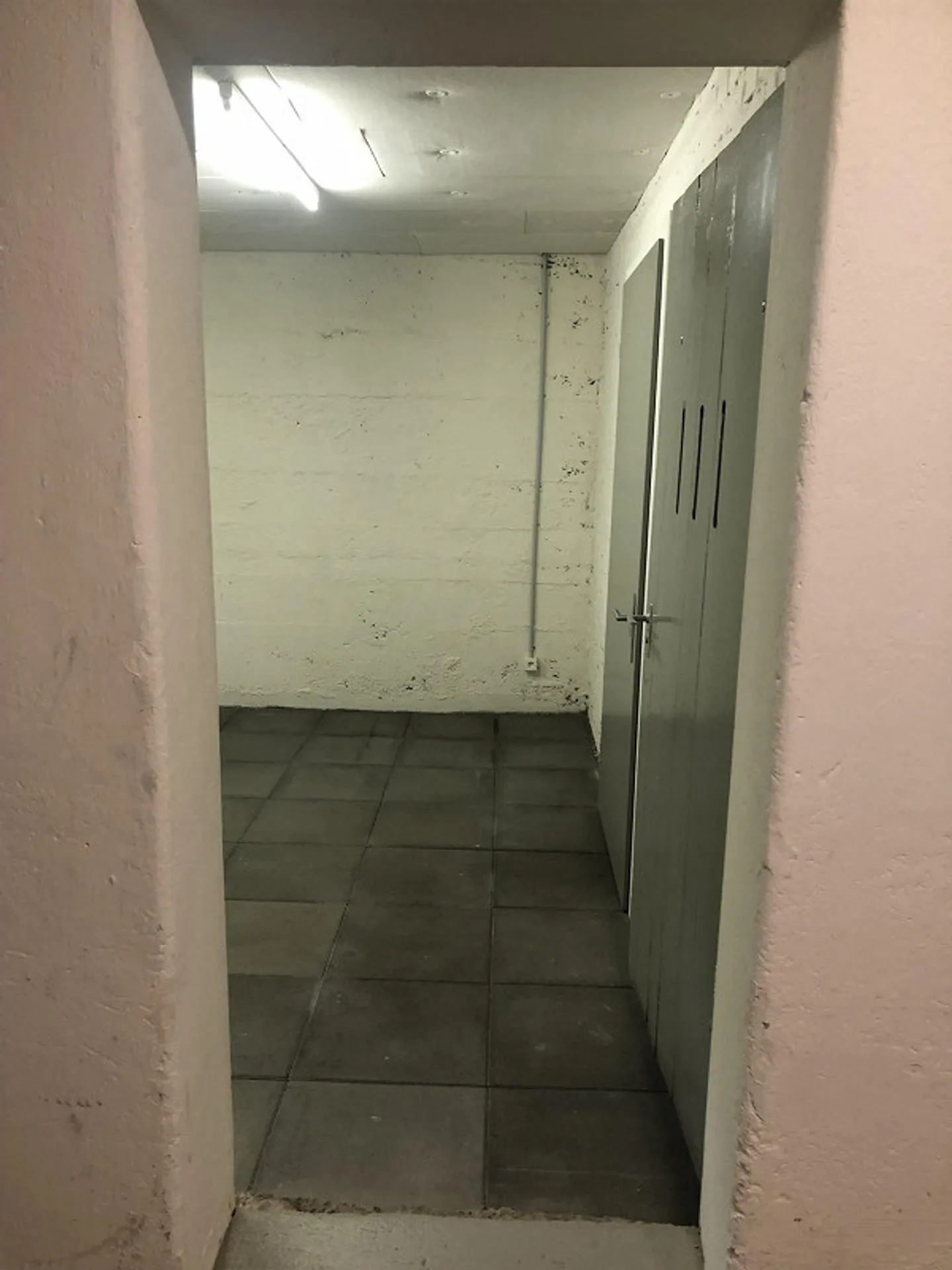 Magazzino in affitto in Lorena - Foto 6 di 9