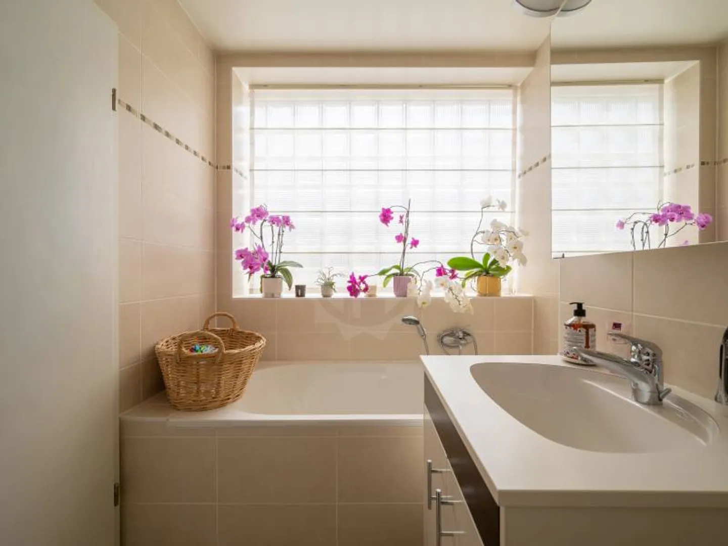 Charming apartment - Plan-les-Ouates - Photo 12 of 12