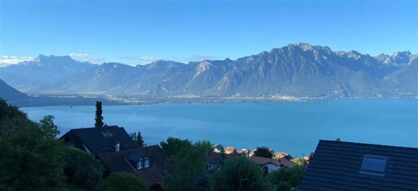 Magnifique villa individuelle - Vue panoramique sur le lac Léman et les Alpes - Photo 7 sur 7