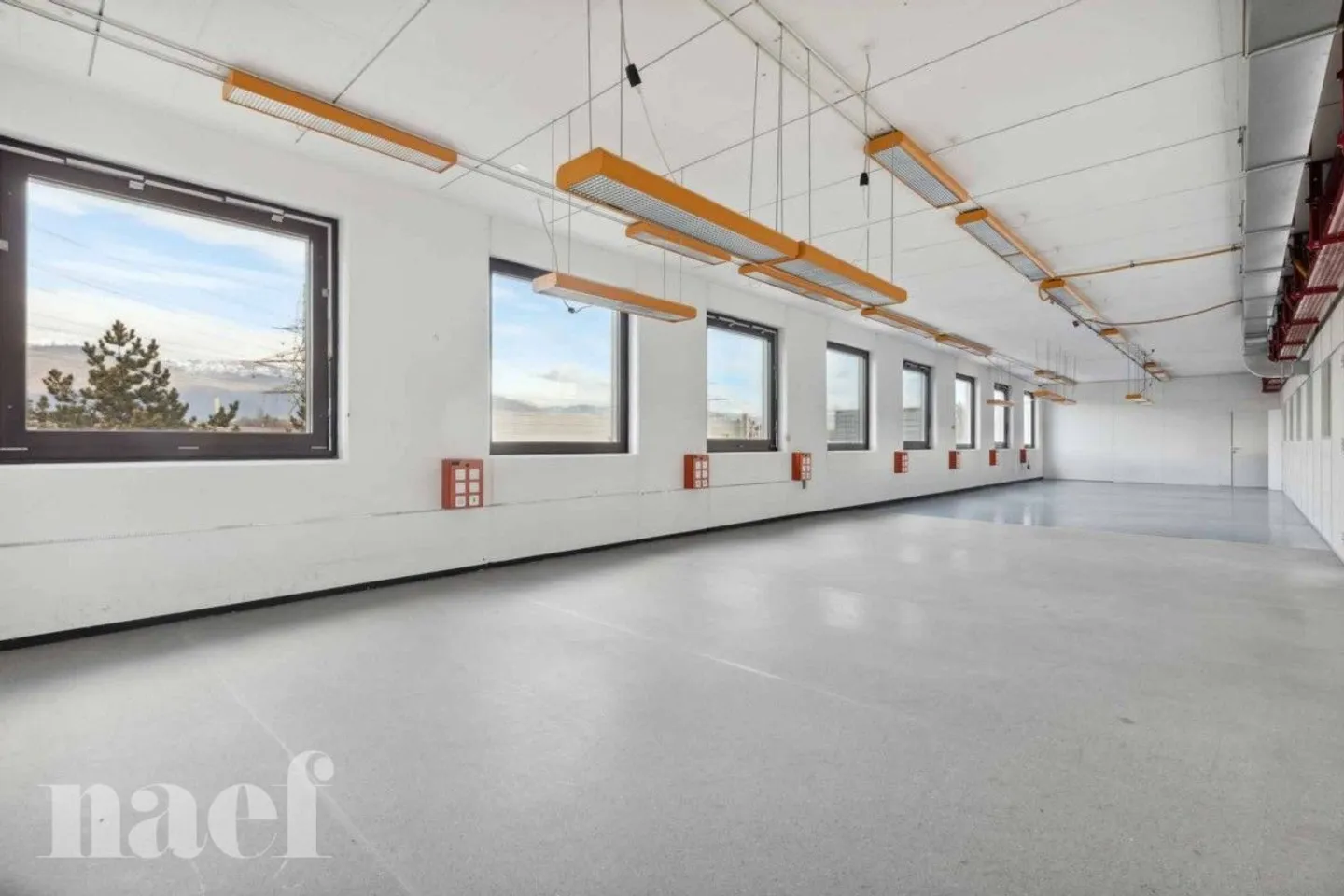 Surface of 430 m² in the ZIMEYSA industrial zone of Meyrin - Photo 5 of 12