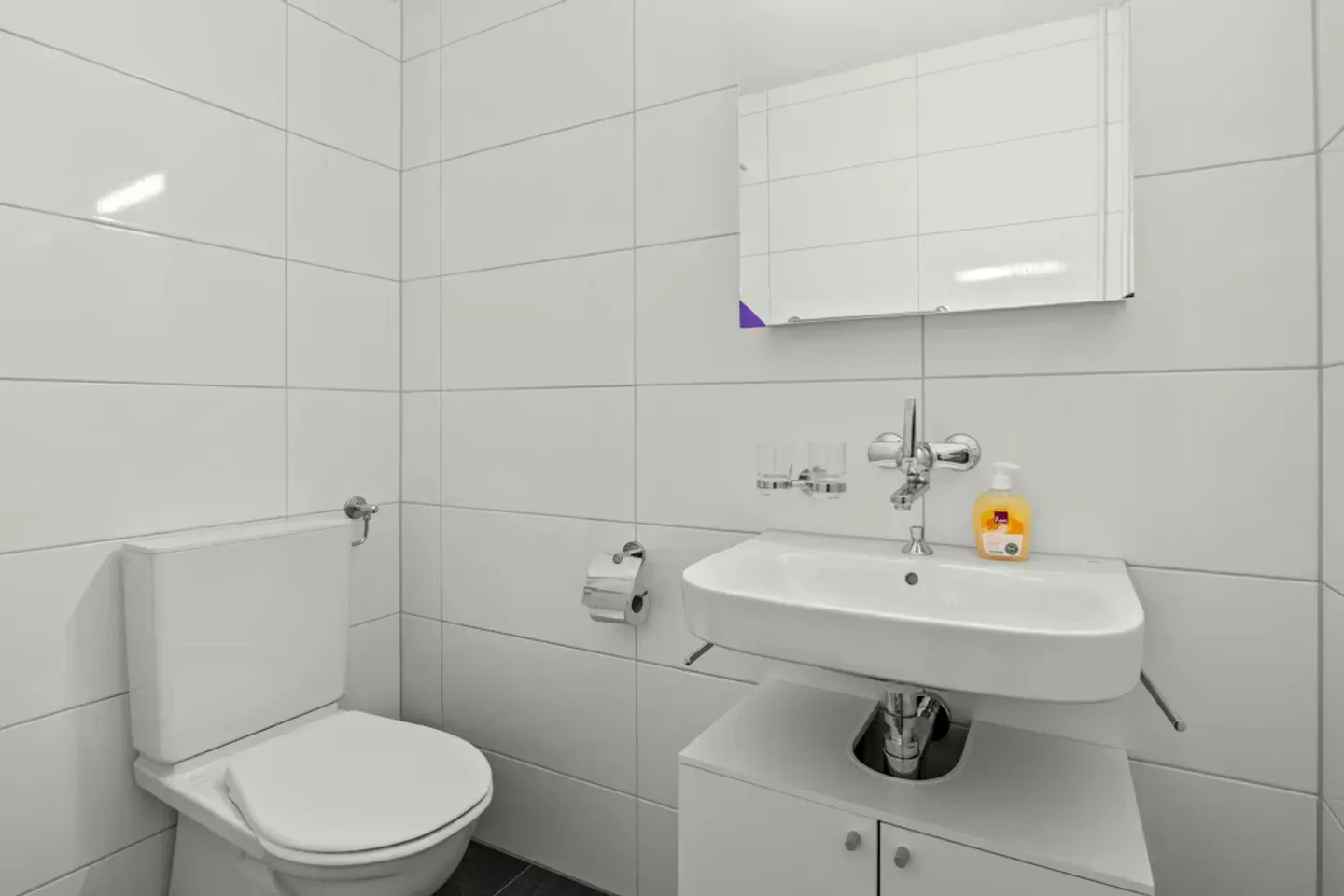 Appartamento Incantevole a Winterthur - Foto 8 di 8