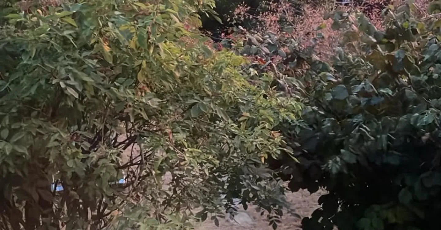 Cudrefin (nur einen Steinwurf vom See entfernt), sehr schöne Doppelhaushälfte mit 5,5 Zimmern und Garten - Foto 18 von 18