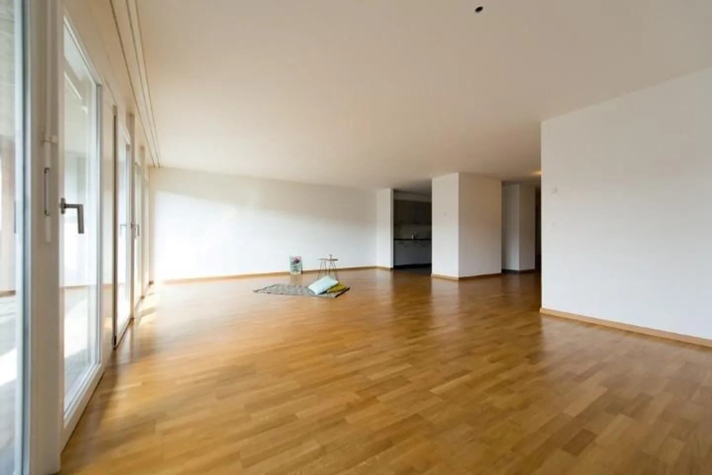 Opportunité de logement de rêve - Photo 2 sur 11