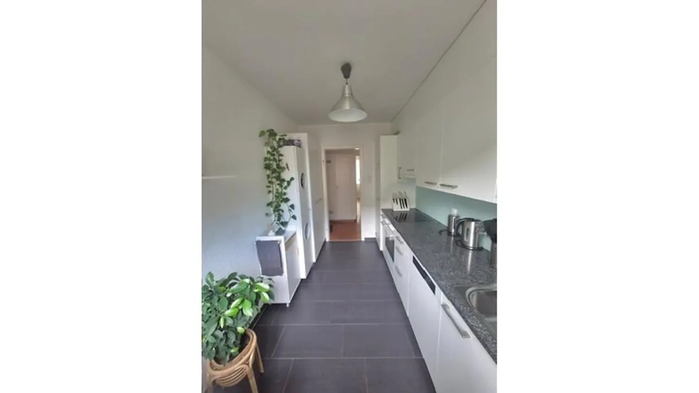 APPARTAMENTO DI 3 LOCALI A BERNA - MATTENHOF, ARREDATO, TEMPORANEO - Foto 2 di 4