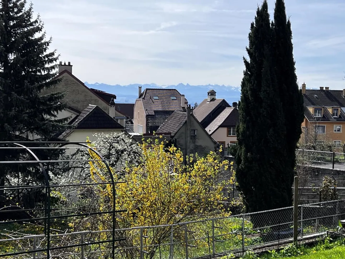 Light-filled garden-level apartment with stunning views of the lake and the Alps - Photo 6 of 11