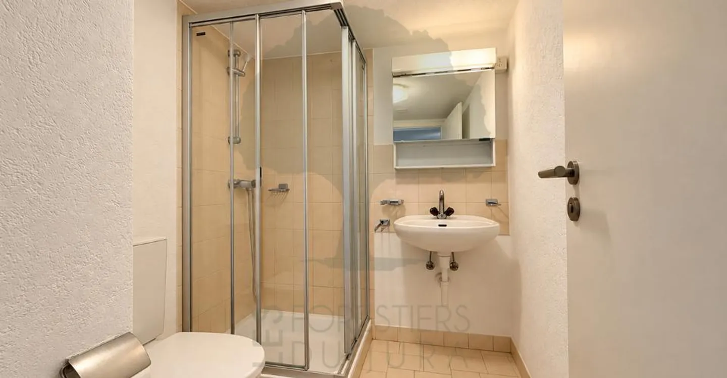 Furnished 1.5 Room Apartment in the Heart of Porrentruy - Photo 3 of 3