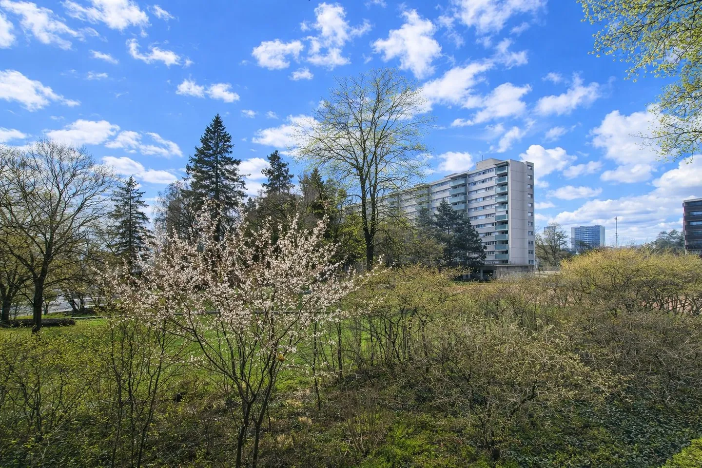 Sogno abitativo ristrutturato di fronte al castello di Bümpliz! - Foto 11 di 11