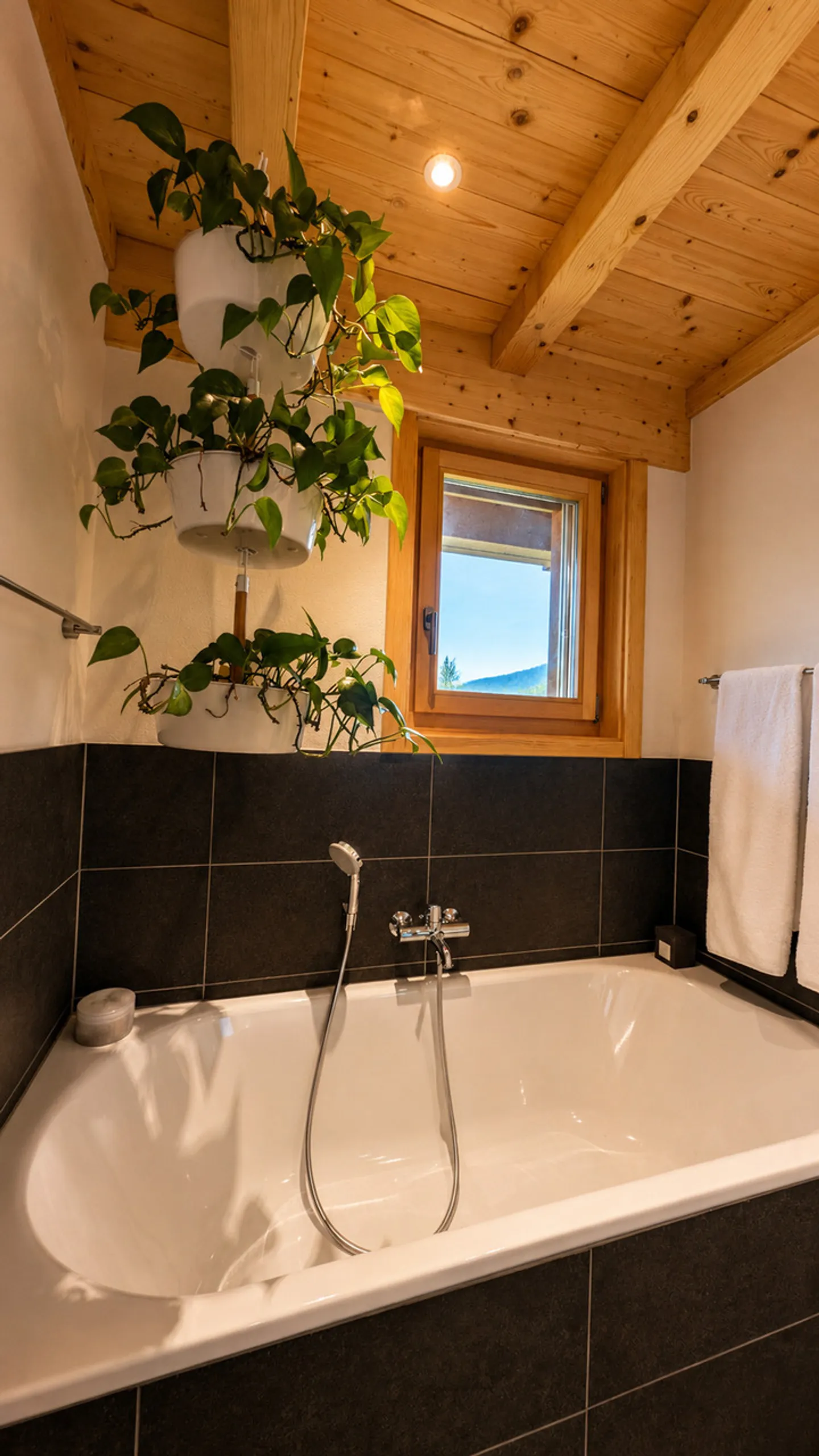 Chalet Individuel Magnifique à Charmey - Photo 21 sur 25