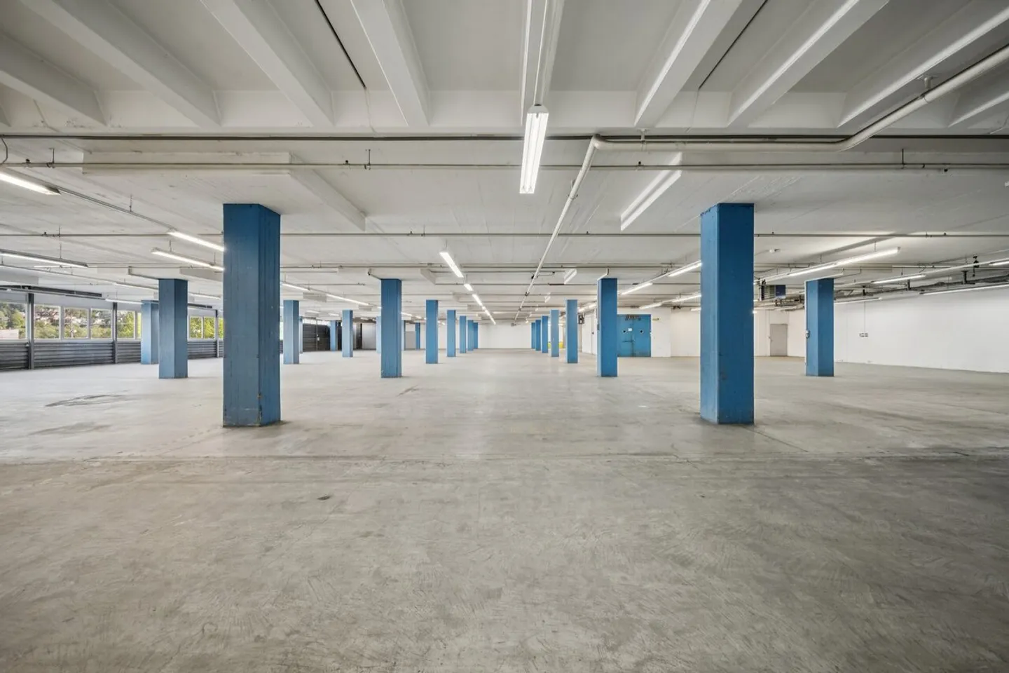 Vielseitige Logistikfläche in Dietikon - Foto 1 von 13
