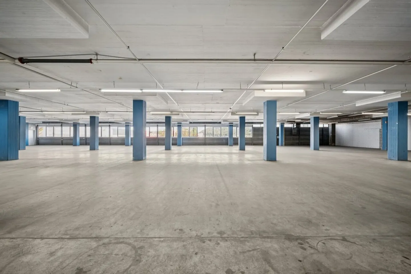 Vielseitige Logistikfläche in Dietikon - Foto 12 von 13