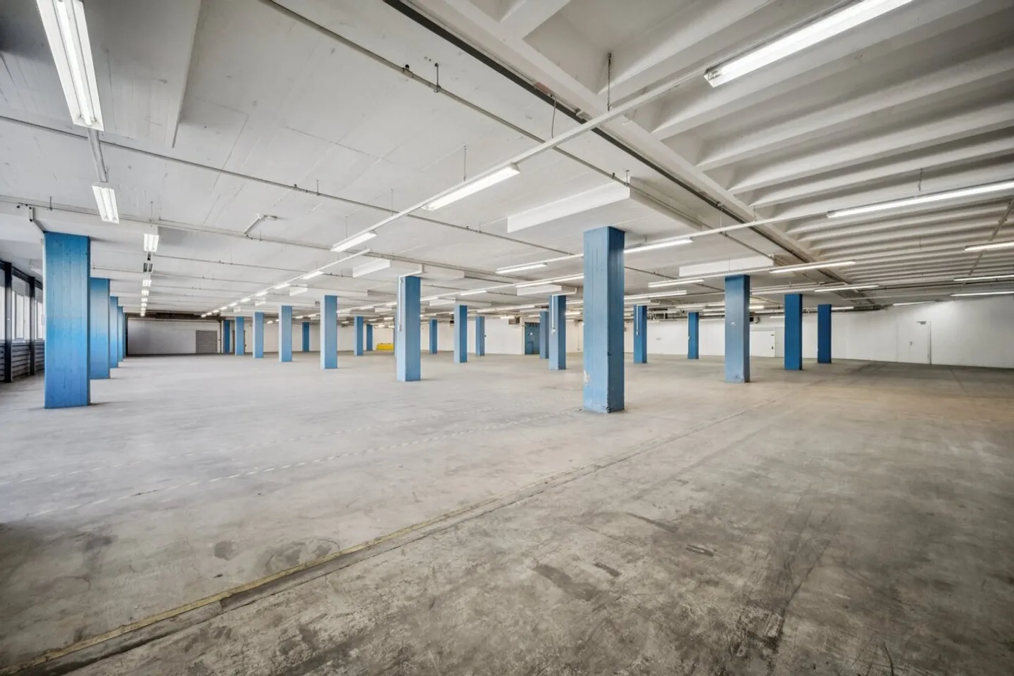 Vielseitige Logistikfläche in Dietikon - Foto 7 von 13