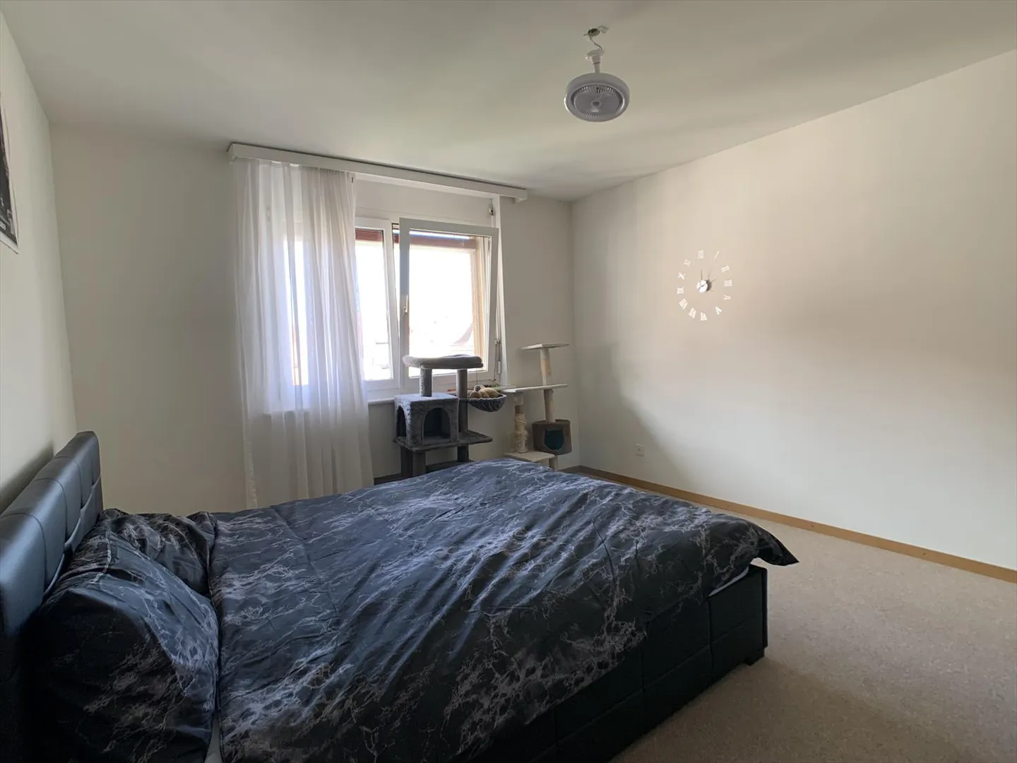 Appartamento 2.5 locali - Foto 5 di 8