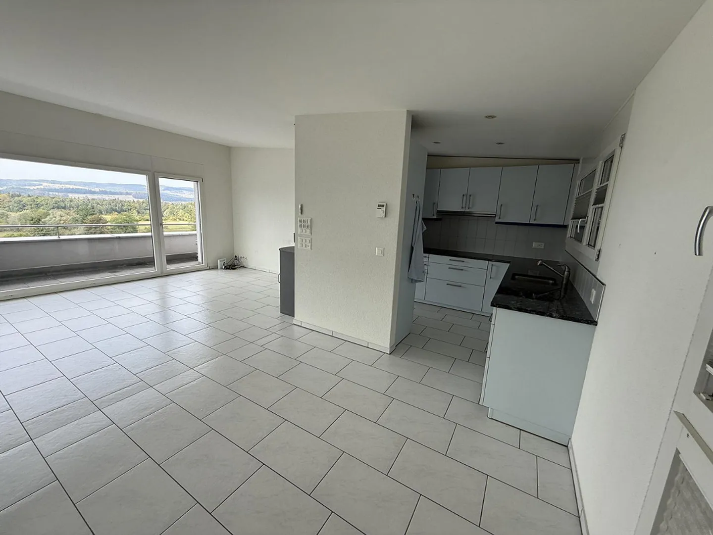 Sunny 4 1/2 Room Attic Apartment with Panoramic View - Photo 1 of 24
