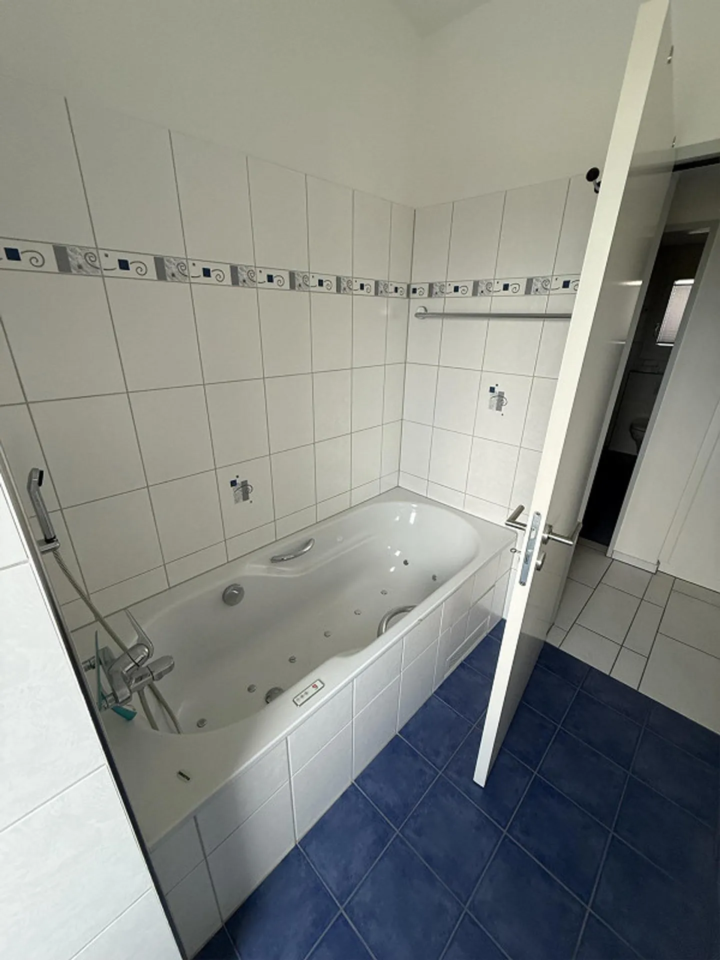 Sunny 4 1/2 Room Attic Apartment with Panoramic View - Photo 11 of 24