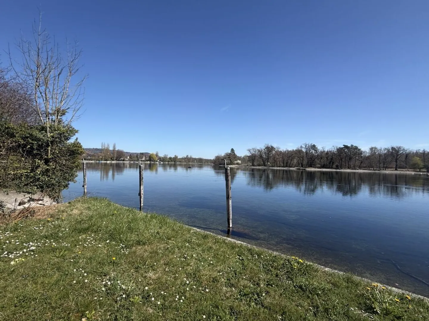 3.5-Zimmer Wohnung am Rhein - Foto 2 von 21