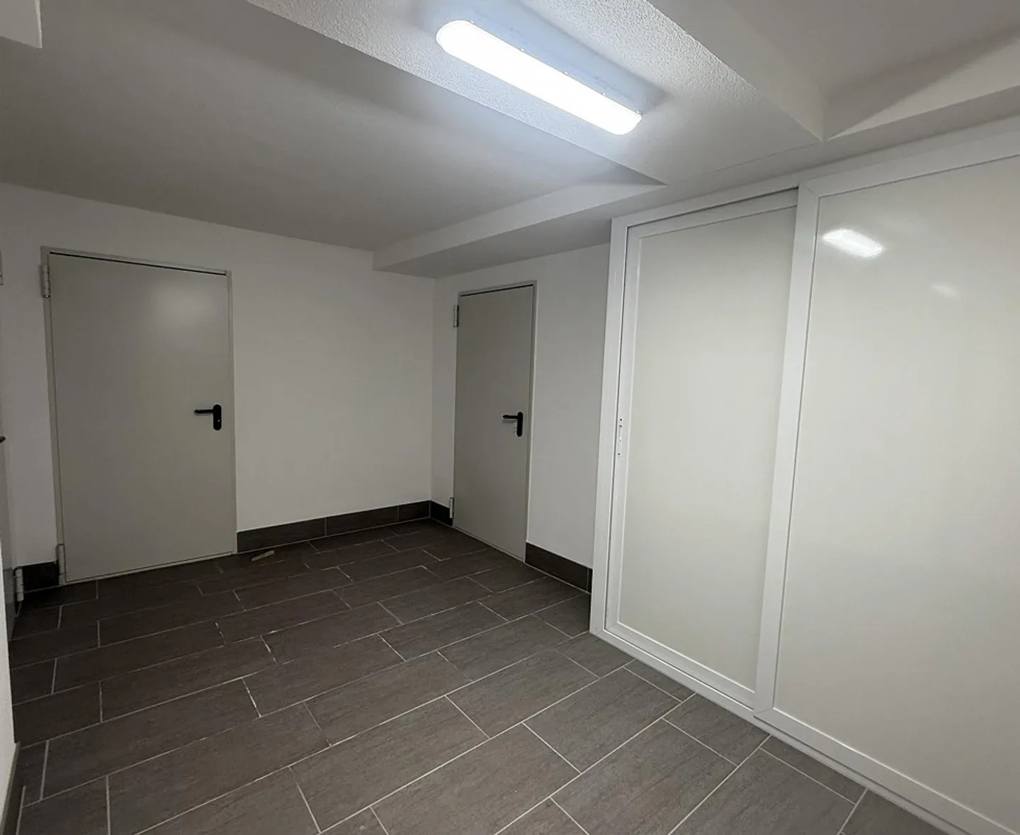 Recherche d'un locataire pour un grand espace de stockage à Capolago - Photo 1 sur 4