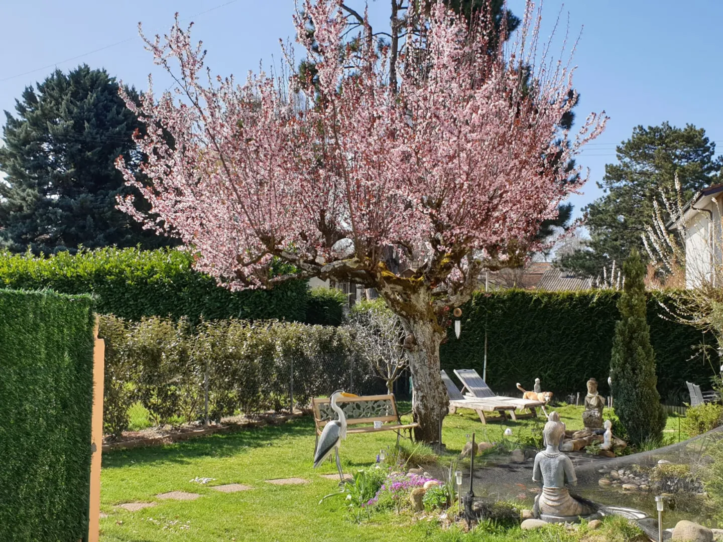 Casa singola in affitto - Foto 16 di 25