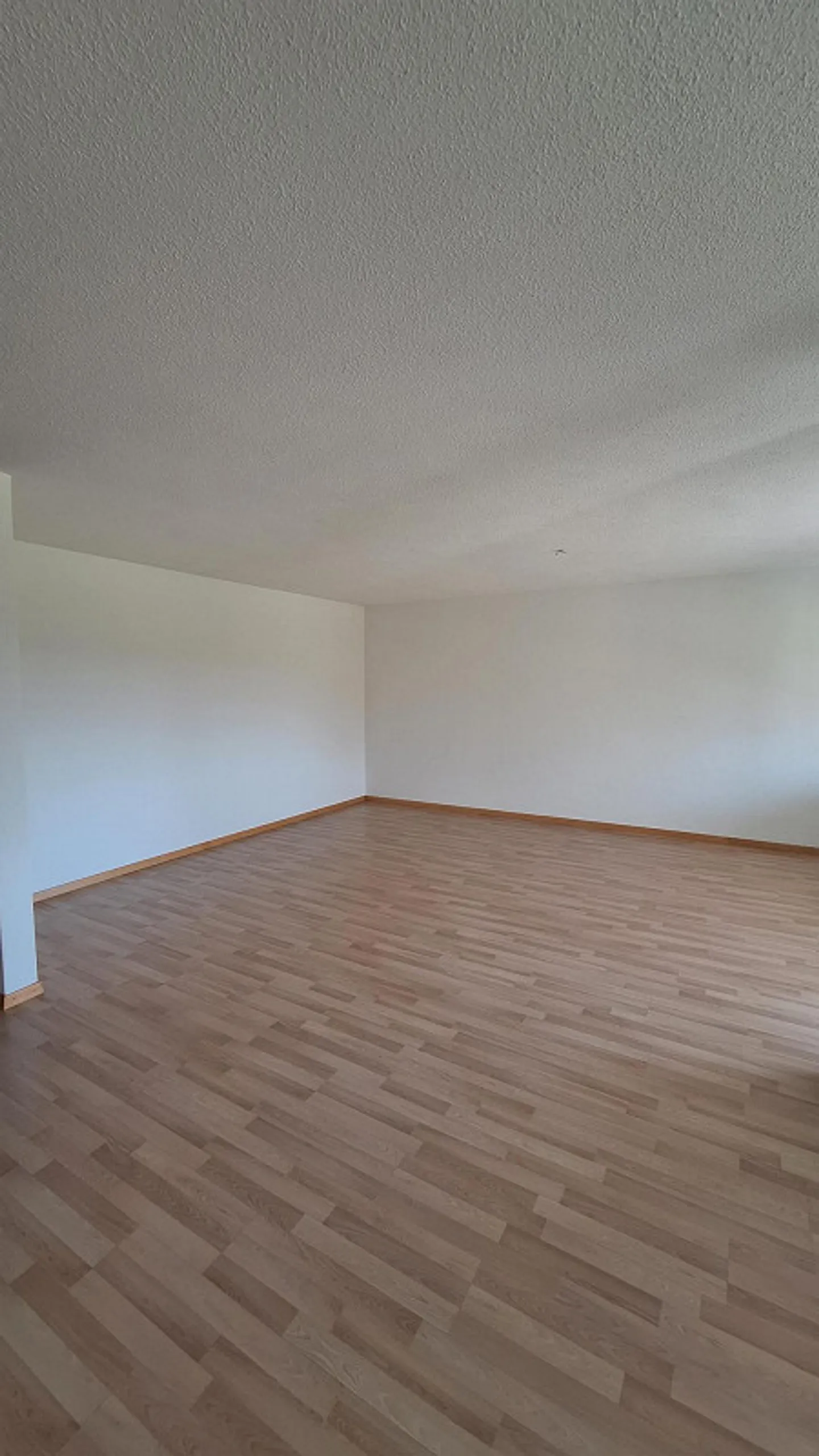 3.5-room apartment, centrally located, bright, spacious layouts - Photo 5 of 8