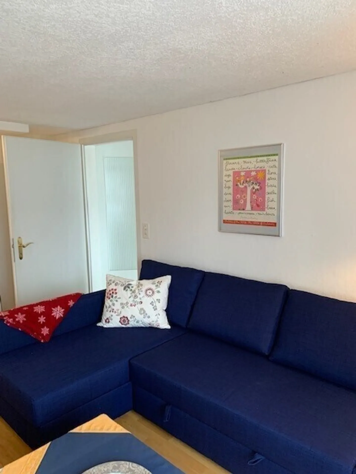2½ ROOM APARTMENT IN GWATT (THUN), FURNISHED, TEMPORARY - Photo 3 of 14