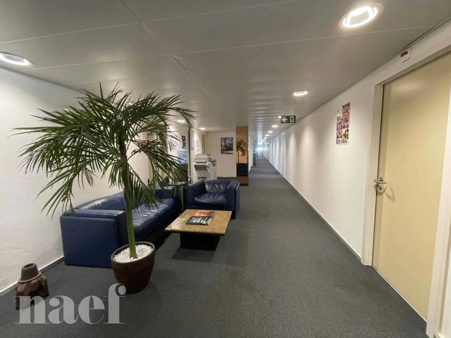 Büro - Foto 5 von 12