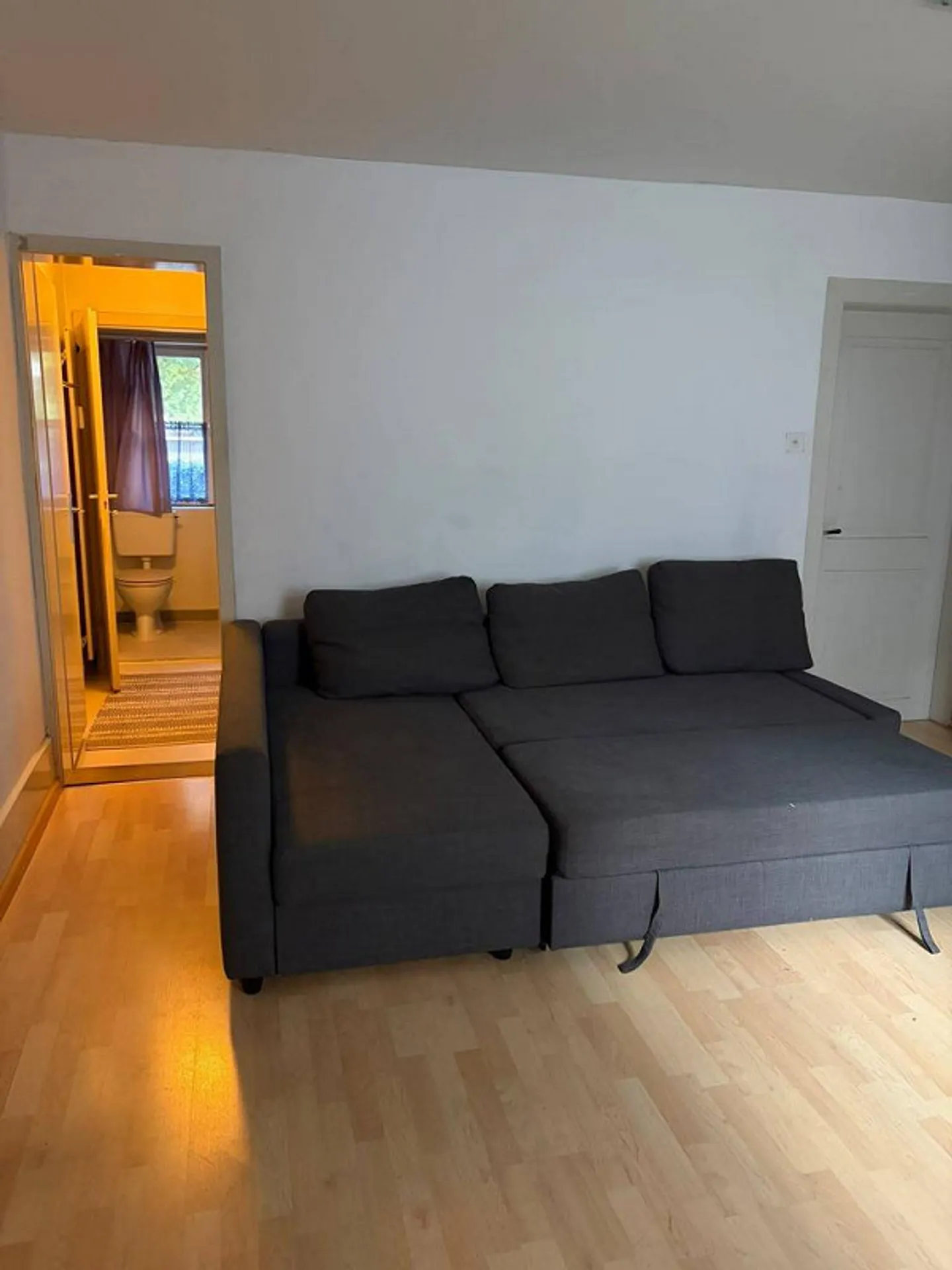 1-room apartment with separate kitchen and bathroom - Photo 1 of 3