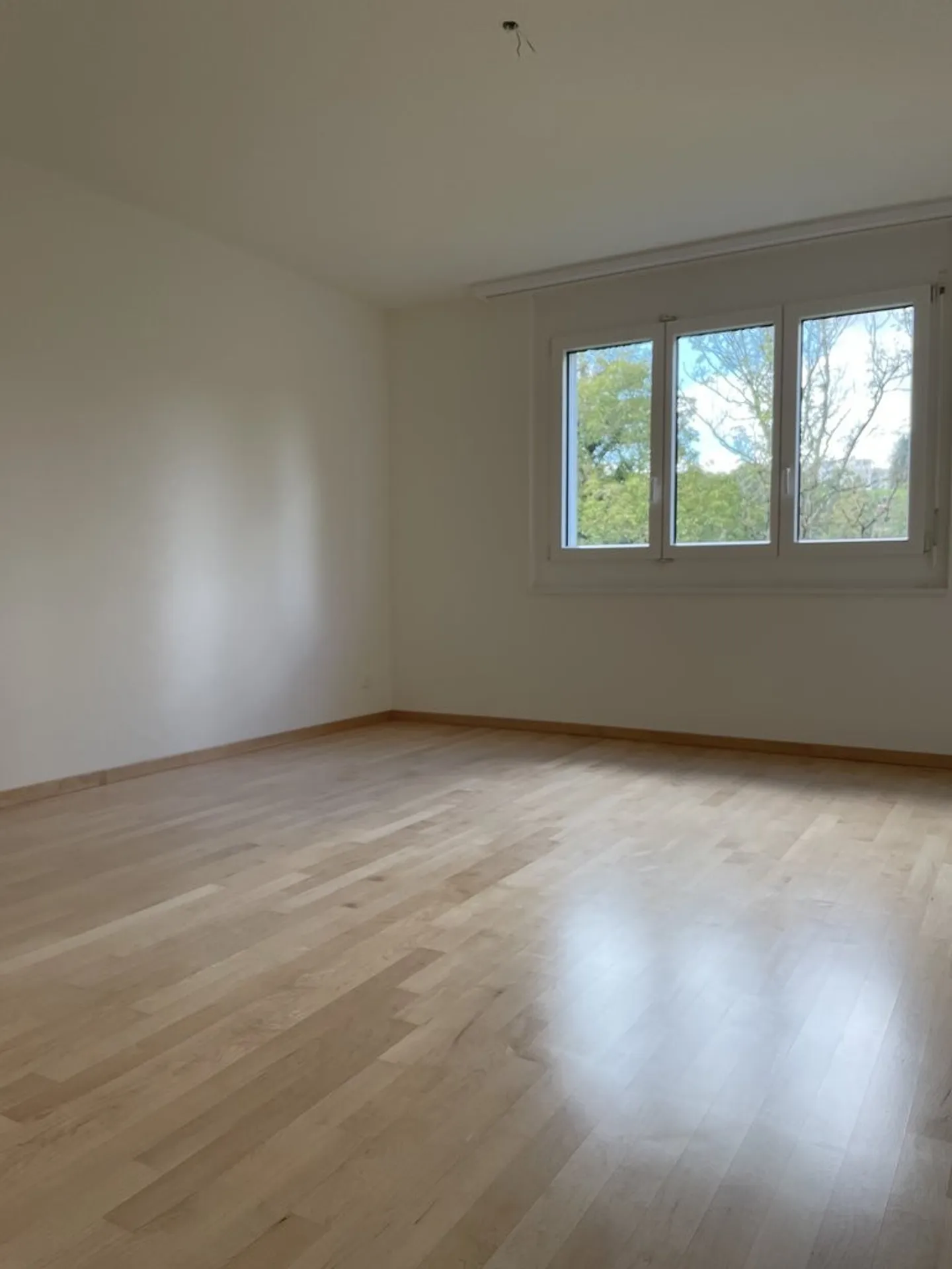 Apartment for rent in a quiet residential area at Zollikerberg - Photo 8 of 9