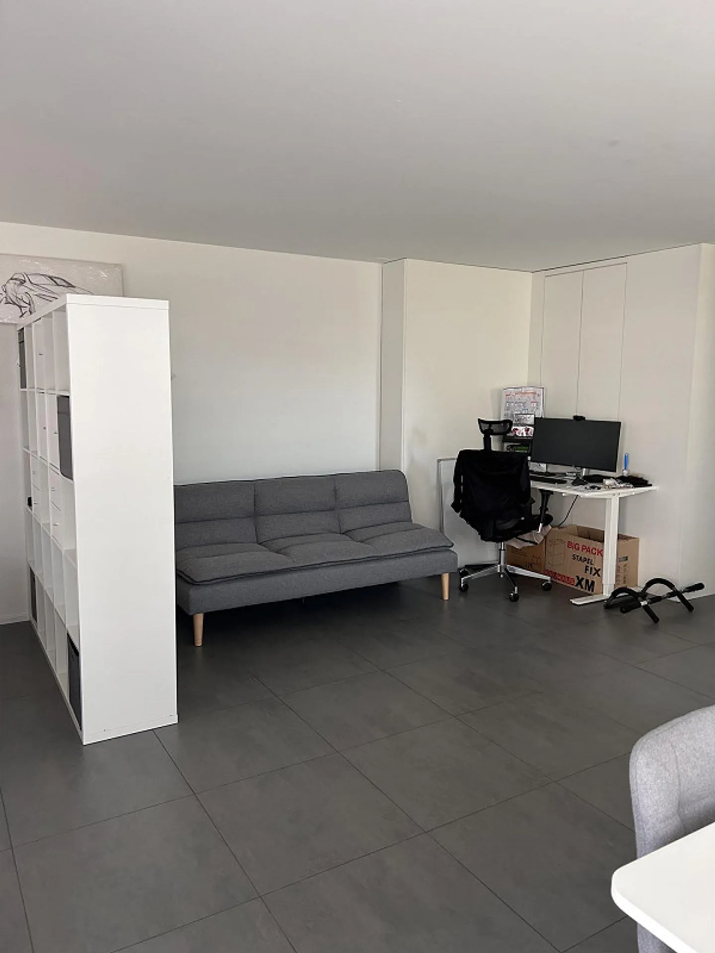 Moderno appartamento con terrazza di 1,5 stanze a Freienbach - disponibile da ottobre 2026 - Foto 4 di 8