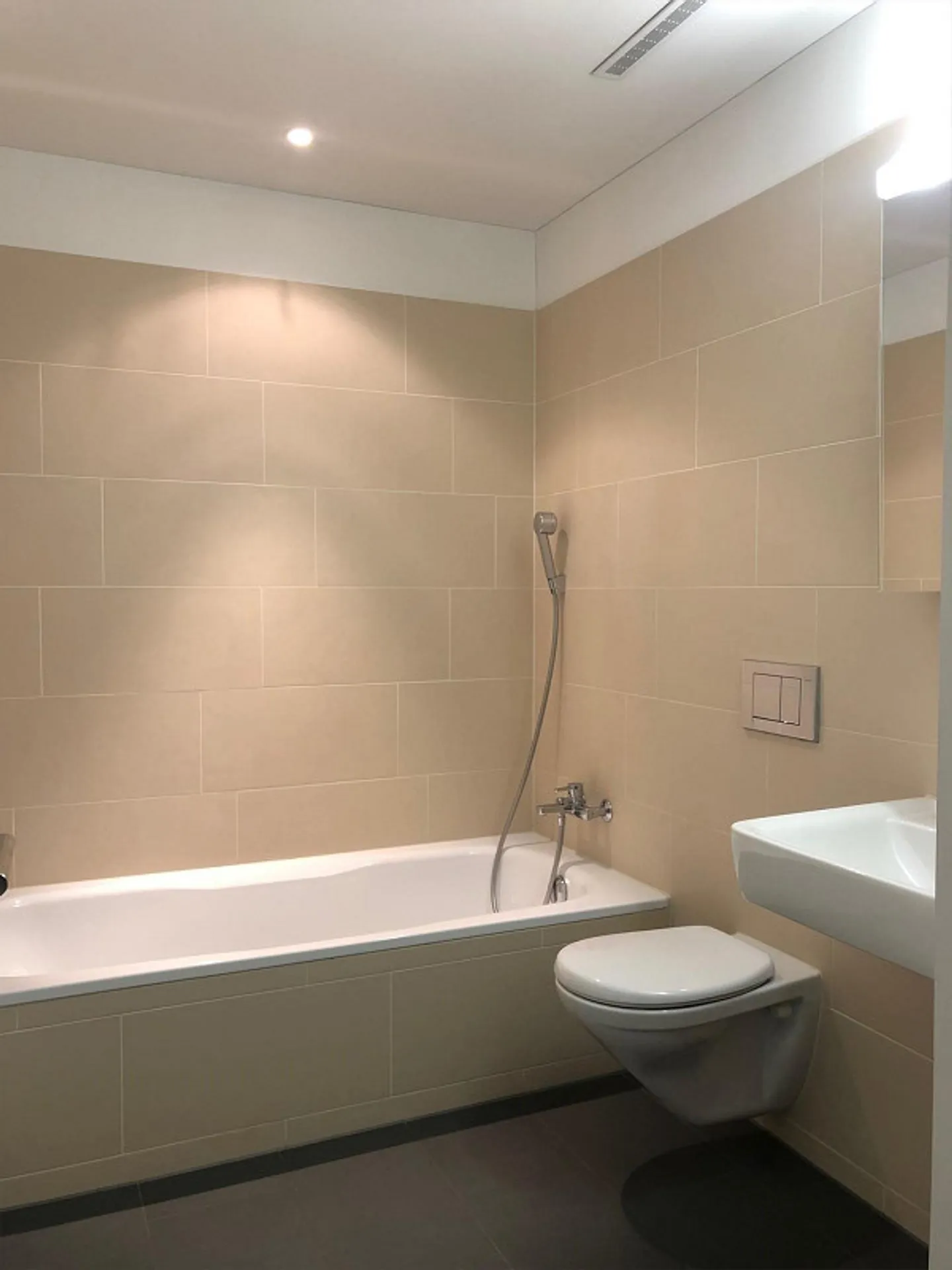 4.5 Room Apartment in Dietikon - Photo 6 of 11
