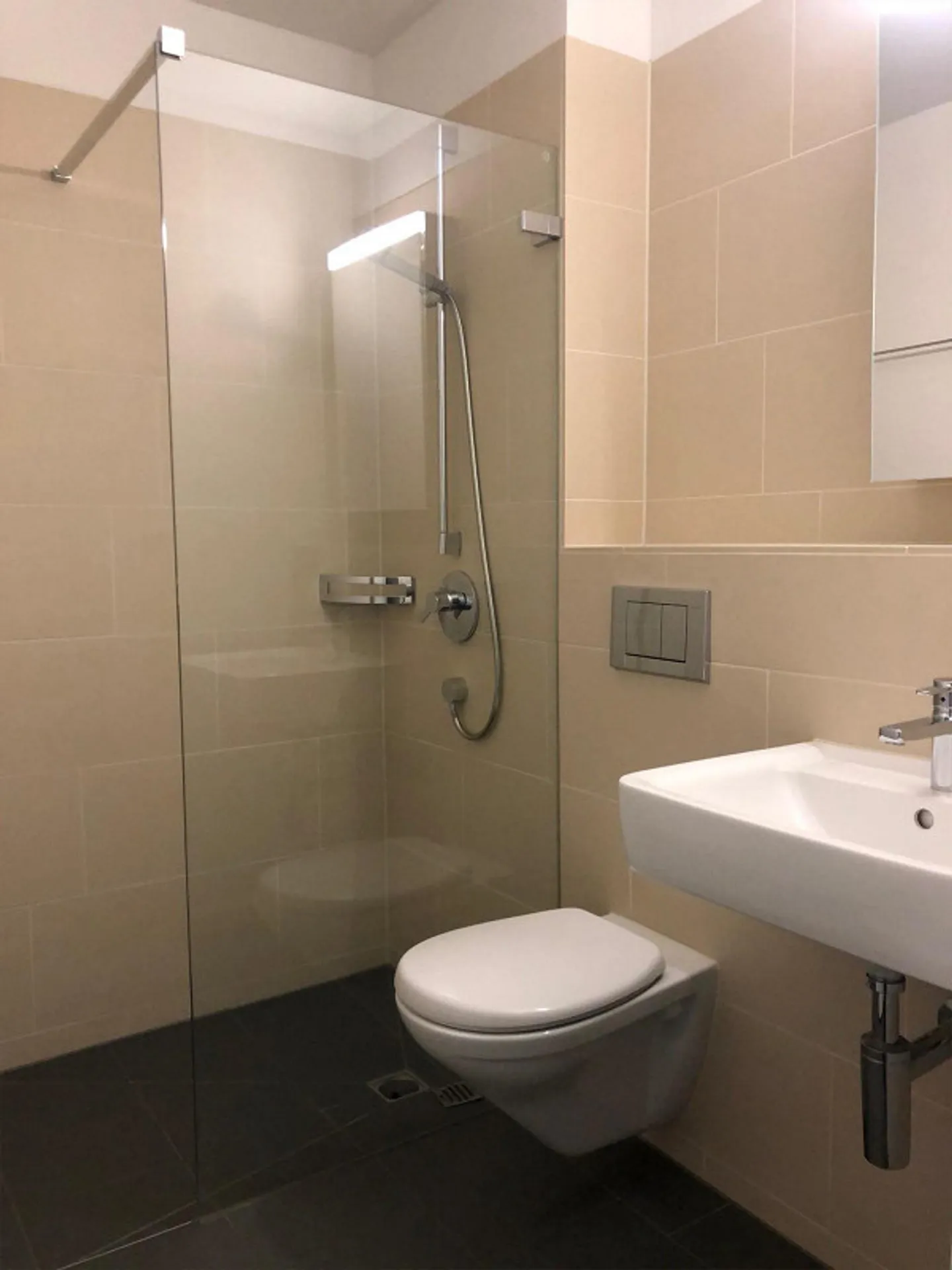 4.5 Room Apartment in Dietikon - Photo 7 of 11