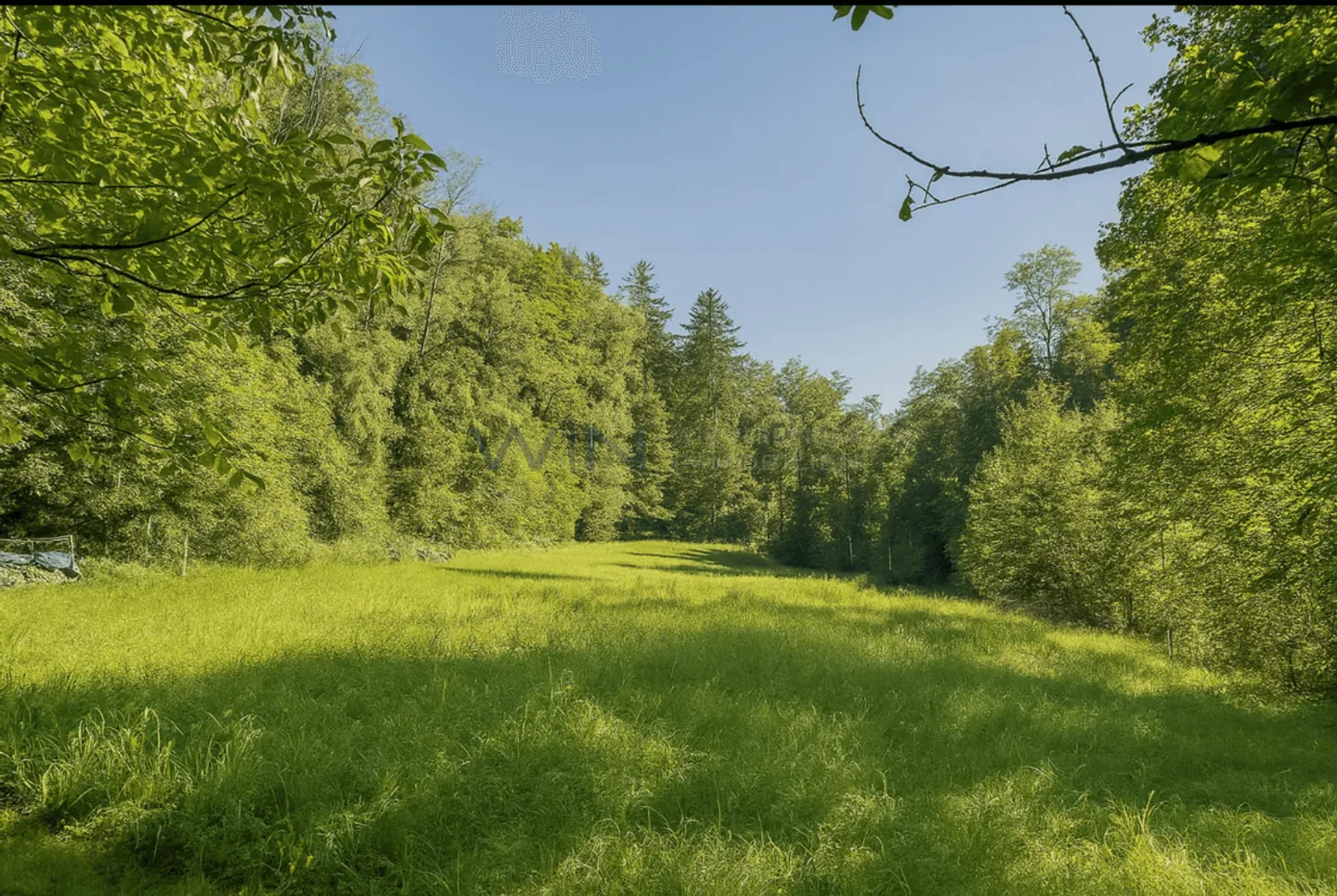 Complesso di fattorie con opportunità di sviluppo - vivere e investire. - Foto 8 di 10