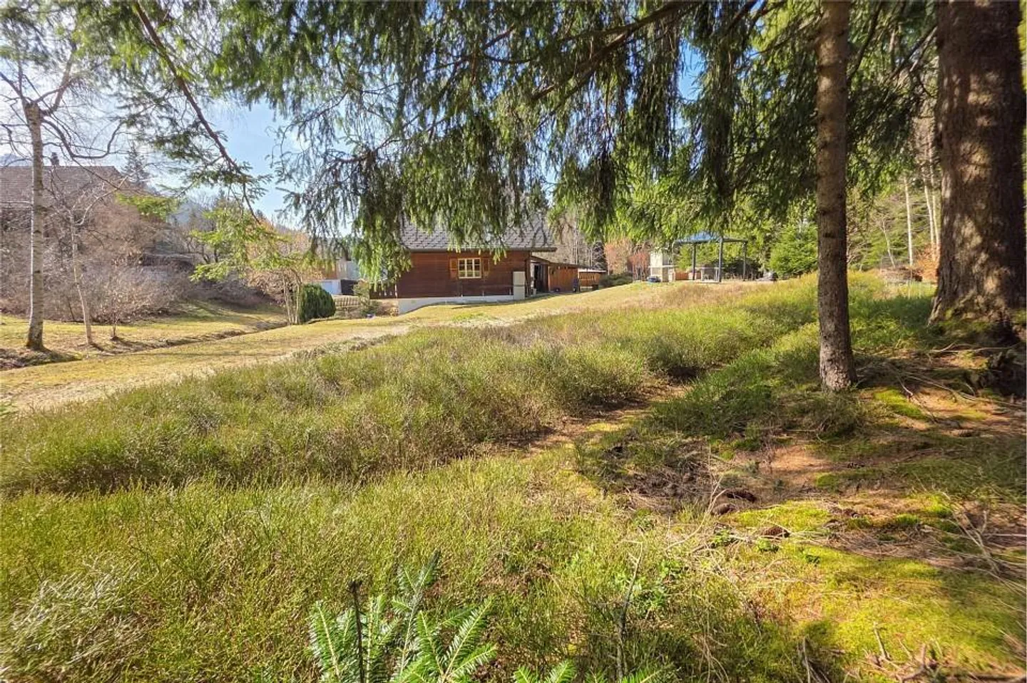 Living where nature begins – Your retreat directly at the edge of the forest - Photo 4 of 13