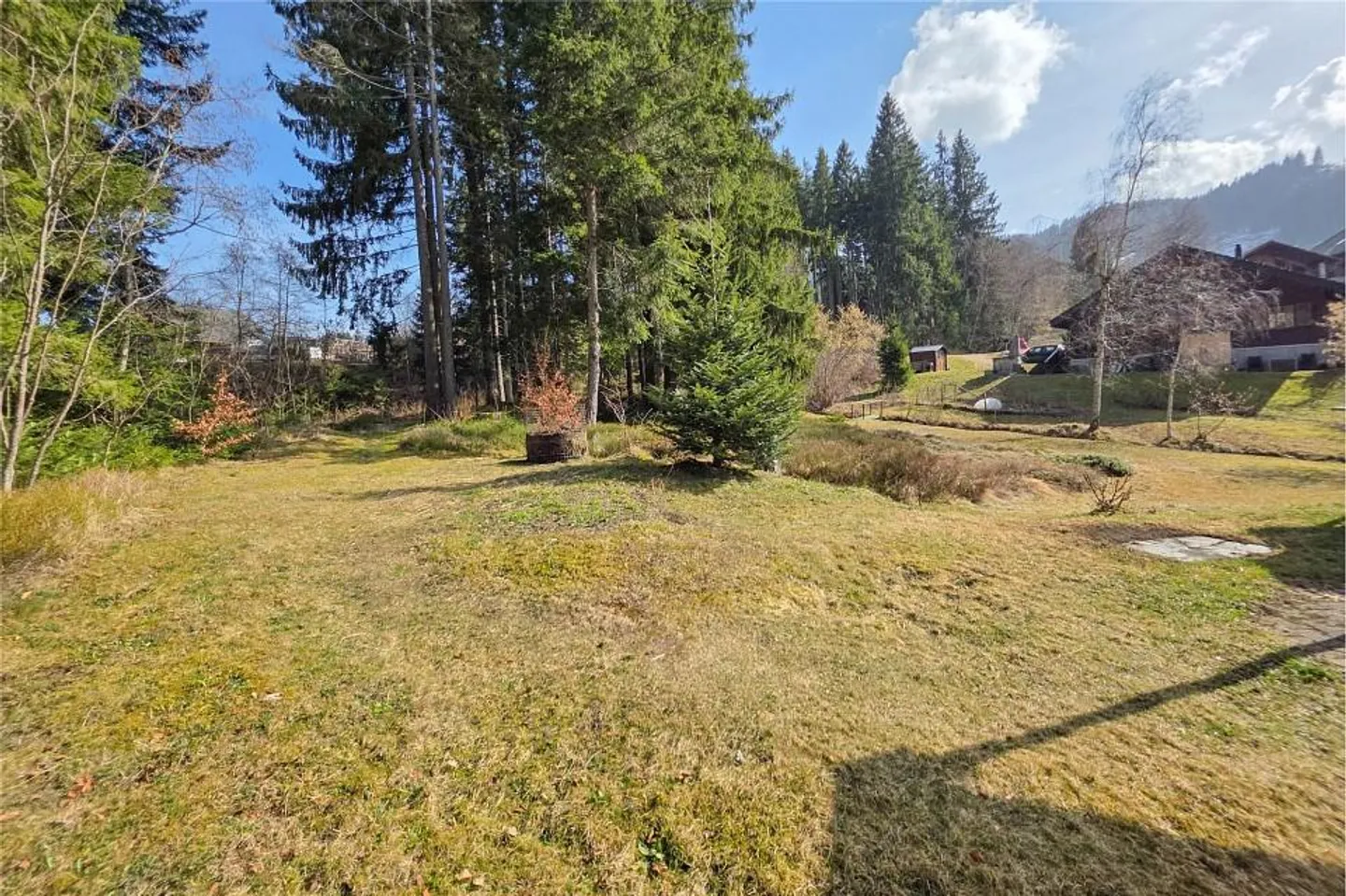 Living where nature begins – Your retreat directly at the edge of the forest - Photo 7 of 13