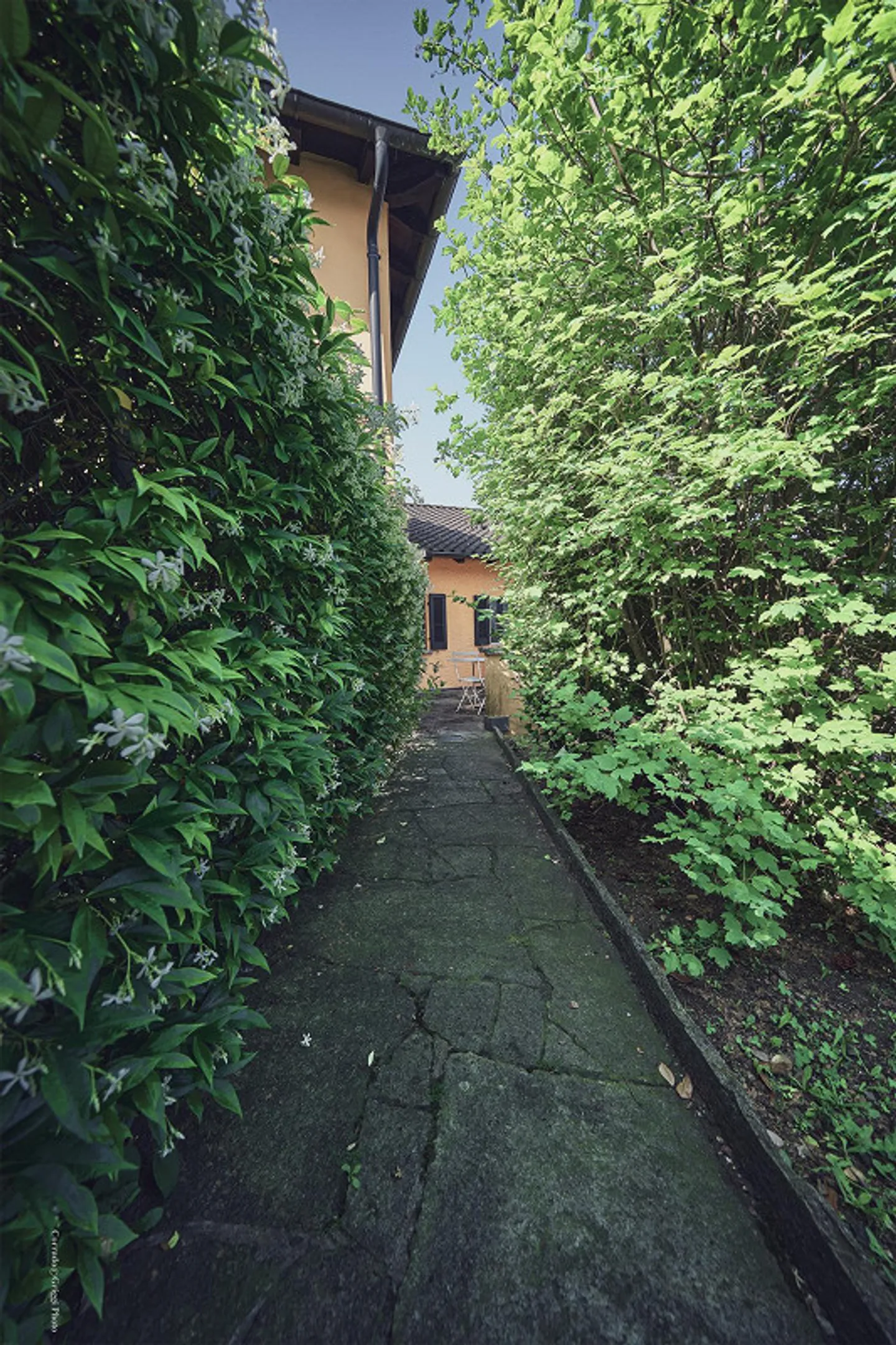Appartamento in affitto con 4 stanze in un ambiente verde a Origlio - Foto 5 di 7