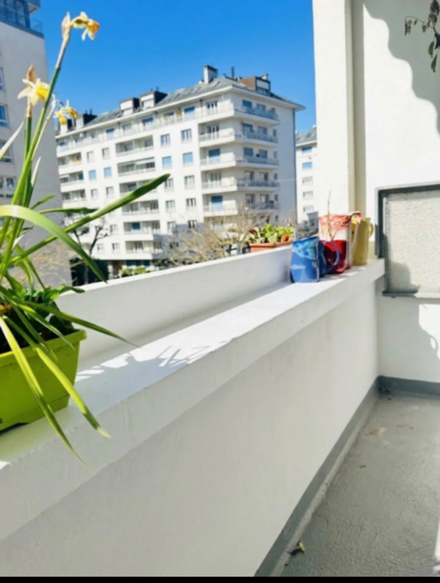 2,5 STANZE CON BALCONE - GINEVRA - Foto 6 di 6