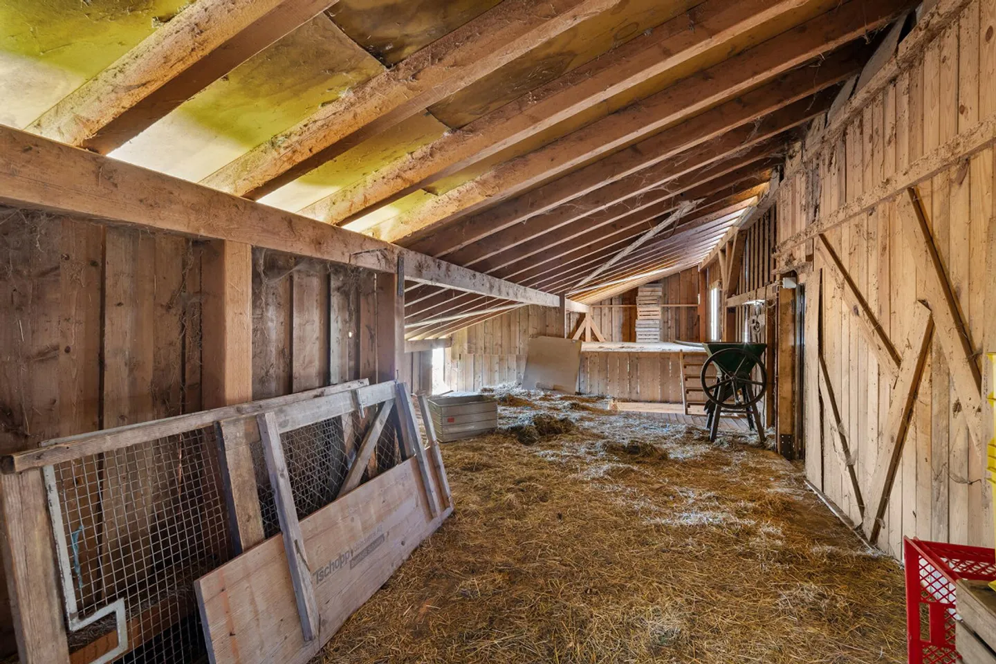 HISTORICAL JEWEL WITH GREAT DEVELOPMENT POTENTIAL IN A TOP LOCATION - Photo 22 of 39