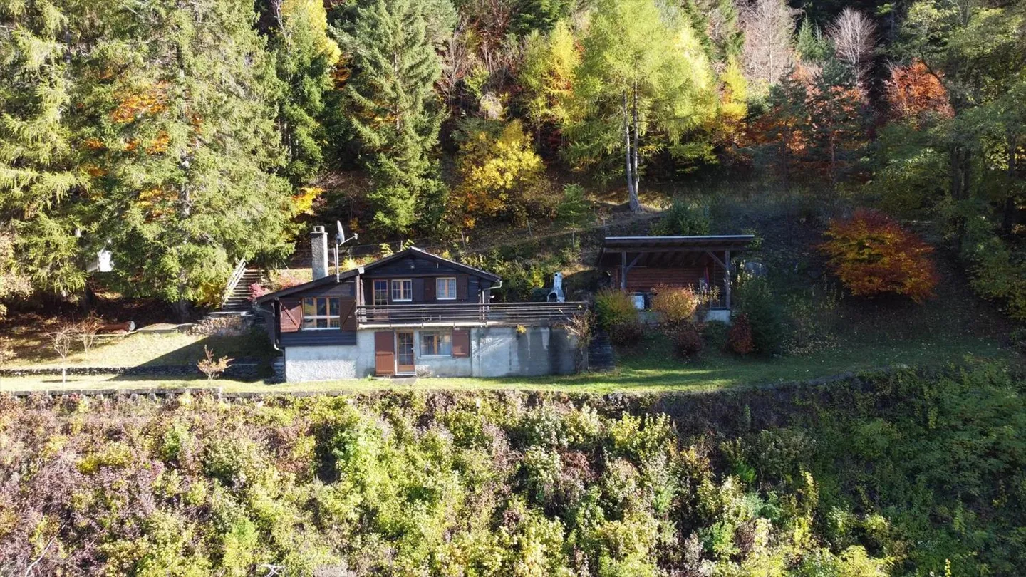 Hafen der Ruhe in der Natur - Foto 10 von 10