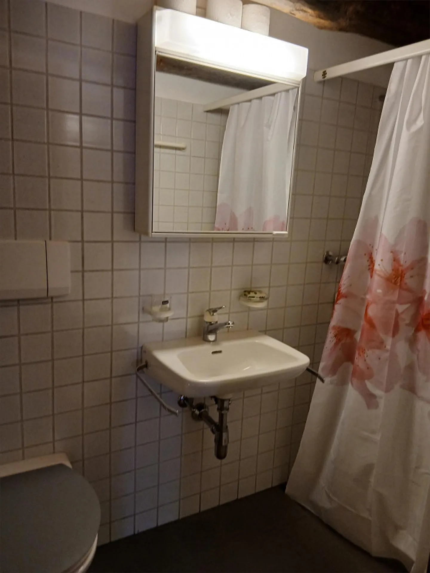 Holiday Cottage with Garden Centovalli Peace Nature - Photo 3 of 12