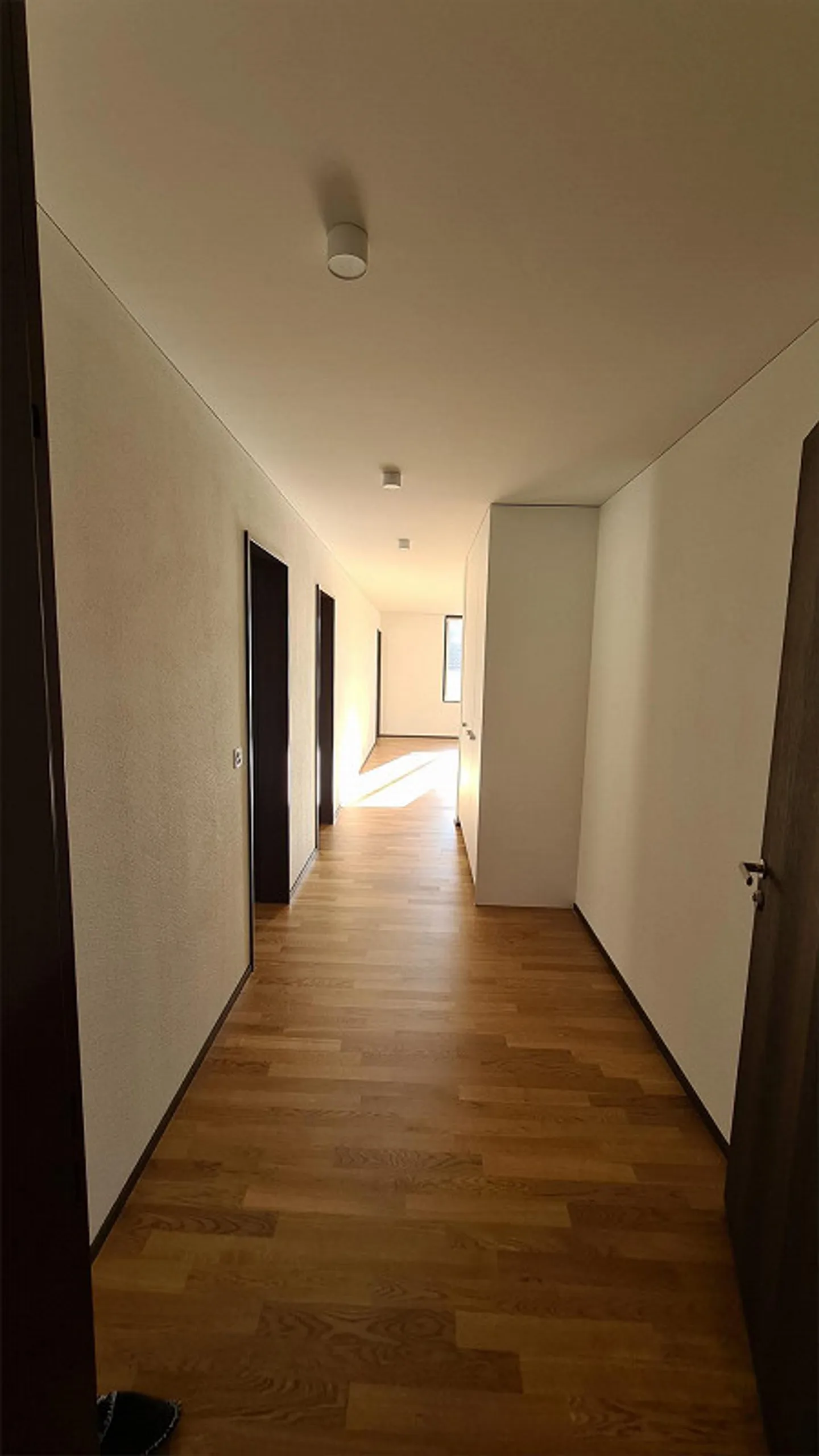 Sonnige, 3 ½ Zi-Wohnung mit Pilatussicht - Foto 4 von 11