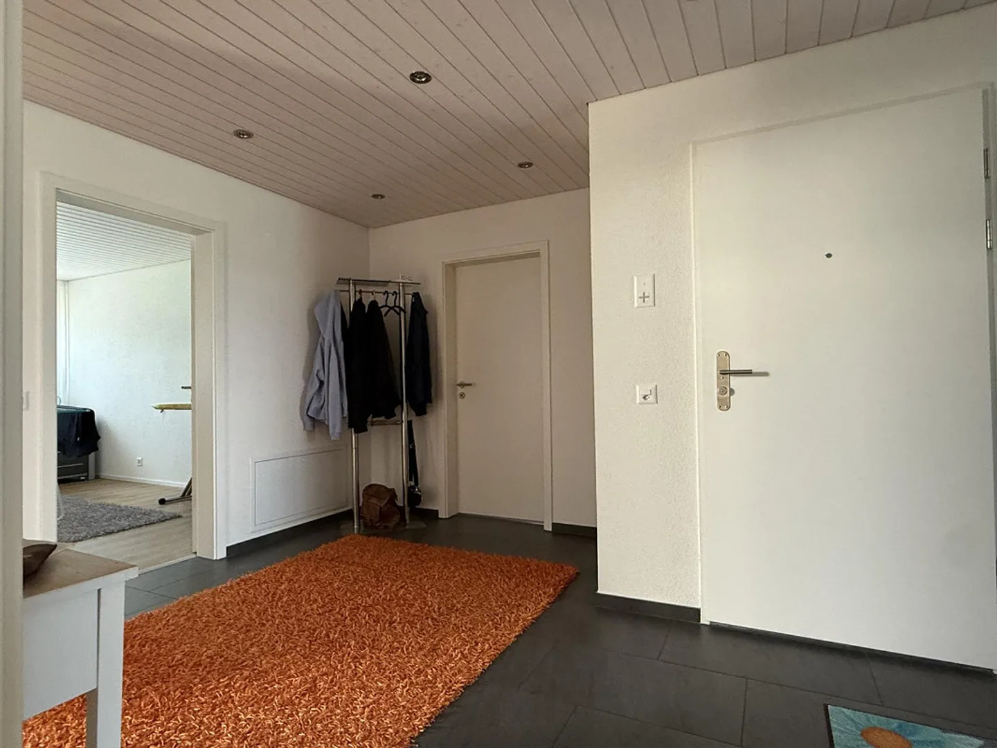 4.5-Room Penthouse with Balcony and Panoramic View - Photo 11 of 20