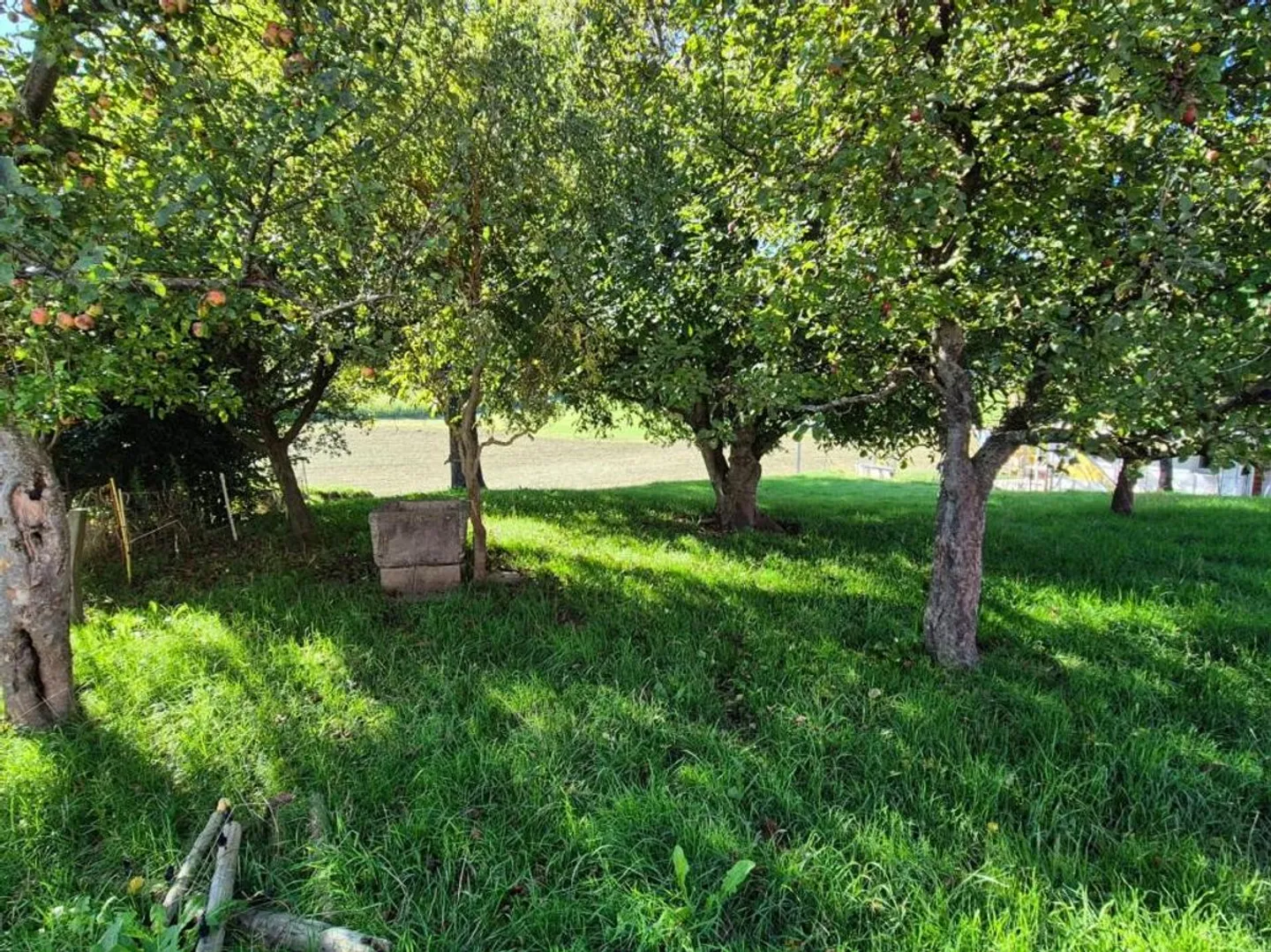 Residential building - Photo 3 of 8