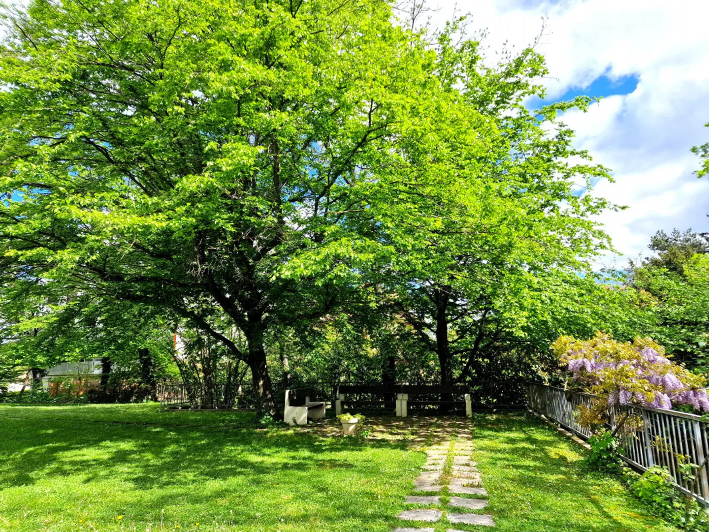 Wohnung kaufen - Foto 6 von 6