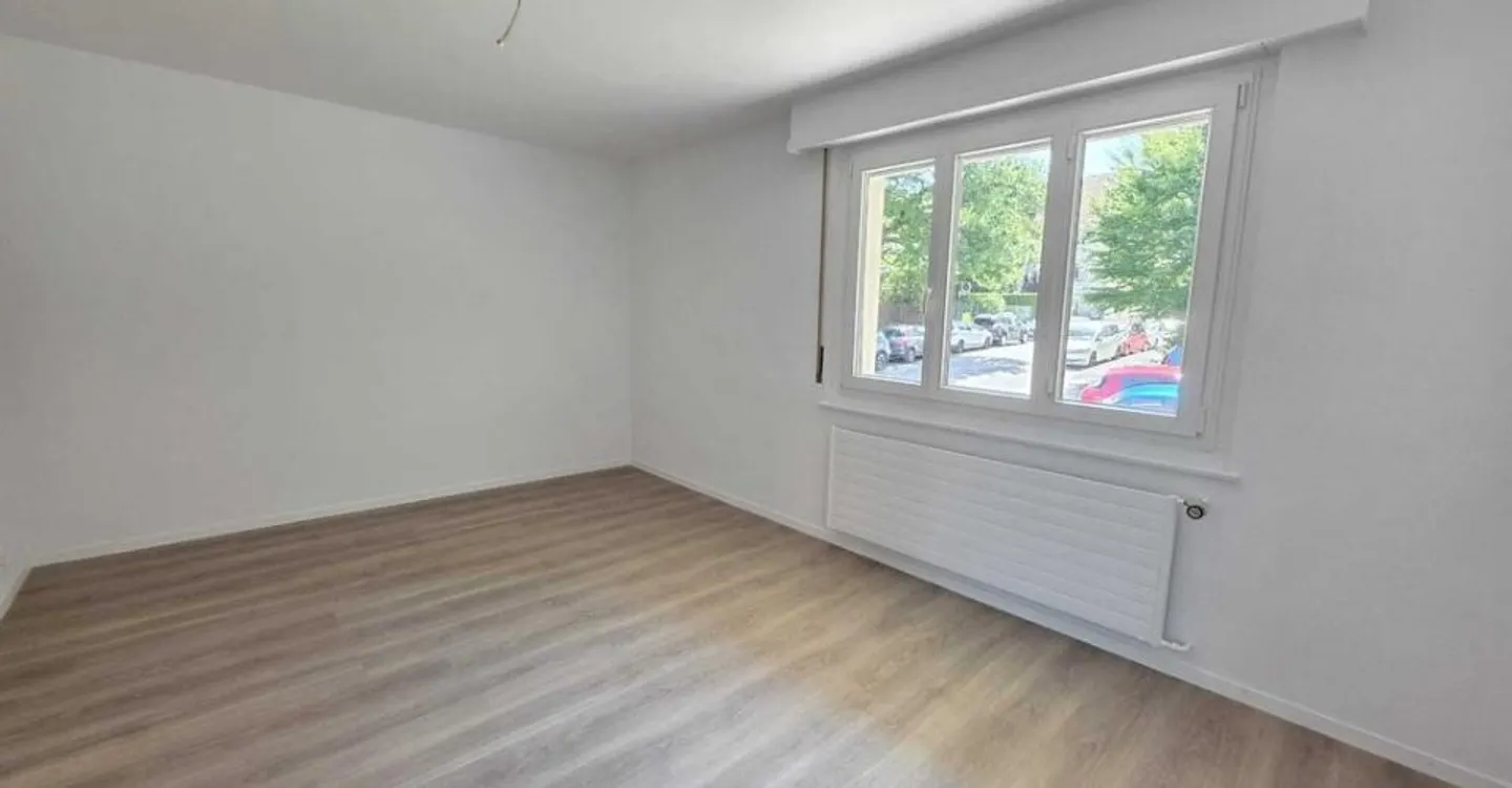 Beautiful renovated apartment - Photo 3 of 10