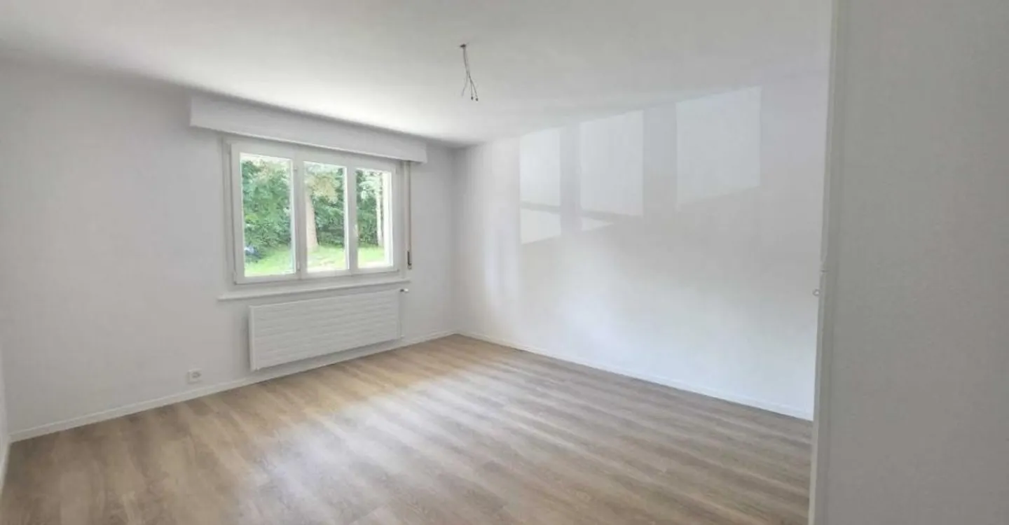 Beautiful renovated apartment - Photo 4 of 10