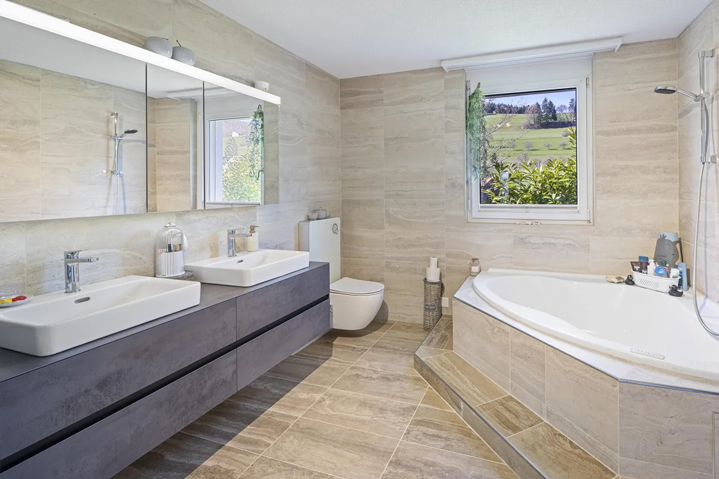 Vue de rêve ininterrompue sur les Alpes et sur le lac Hallwil - Photo 11 sur 13