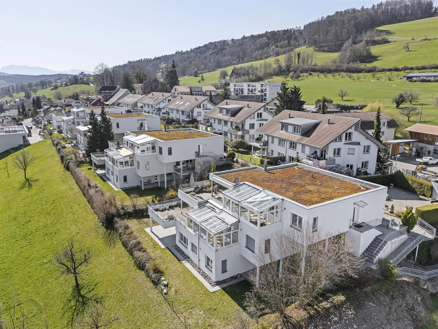 Vue de rêve ininterrompue sur les Alpes et sur le lac Hallwil - Photo 13 sur 13