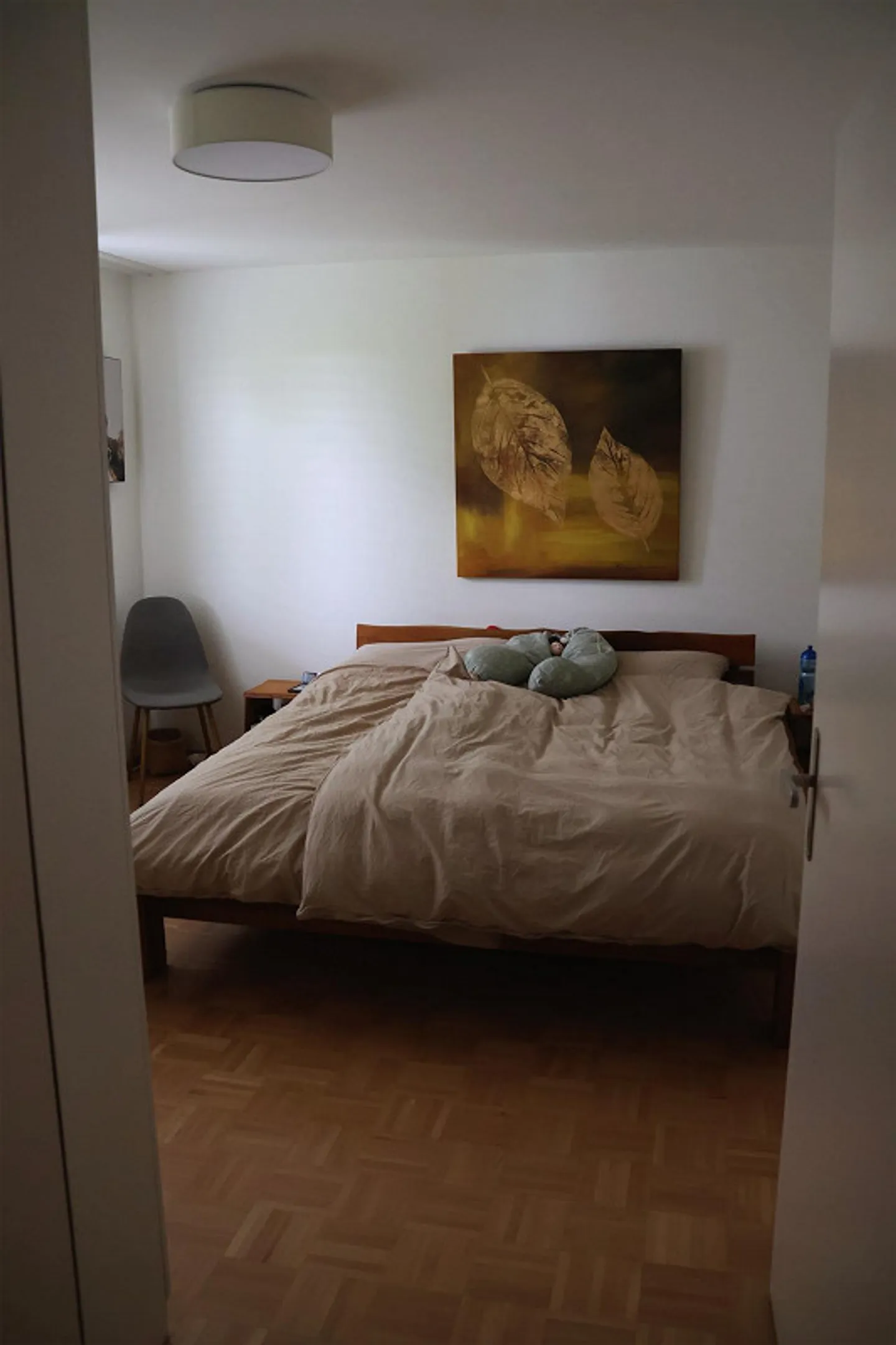 Bright 4.5 Room Apartment near City Center - Photo 10 of 16
