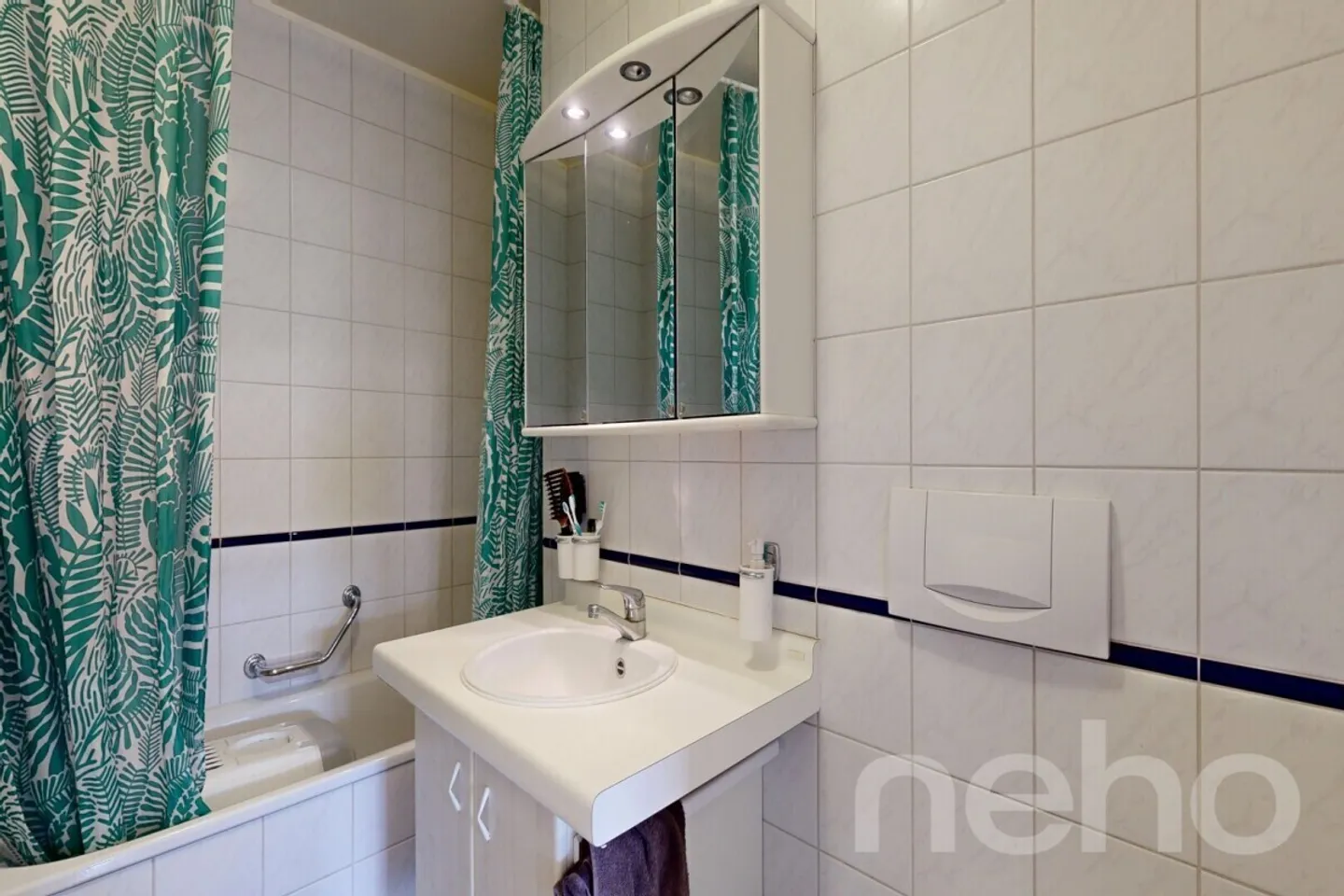 Venez visiter ce très bel appartement avec vue sur le lac ! - Photo 11 sur 12