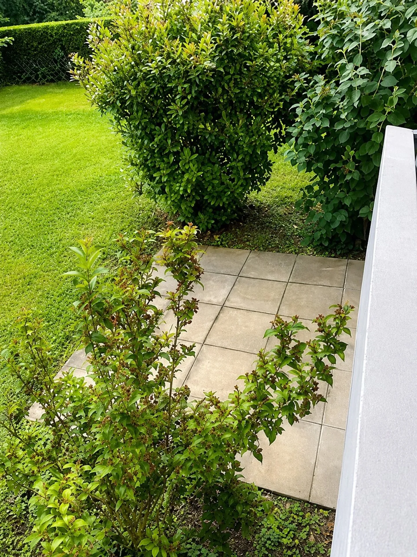 Helle 3-Zimmer-Wohnung mit Garten - Foto 7 von 13