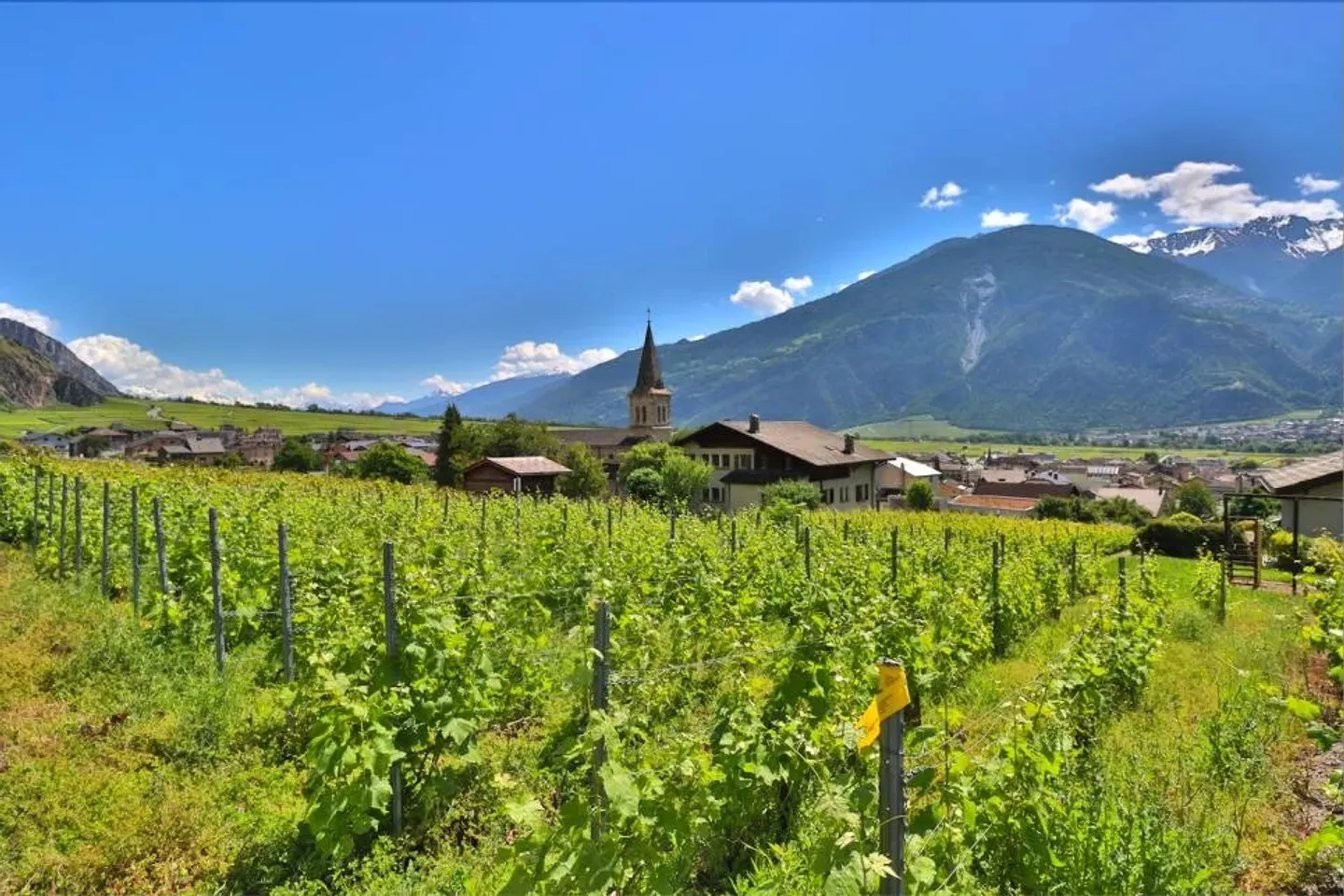 Casa in vendita - Foto 1 di 14